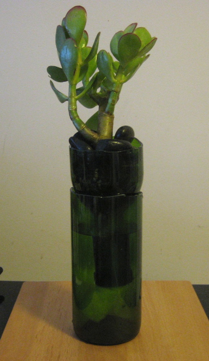 Wine Bottle Planter