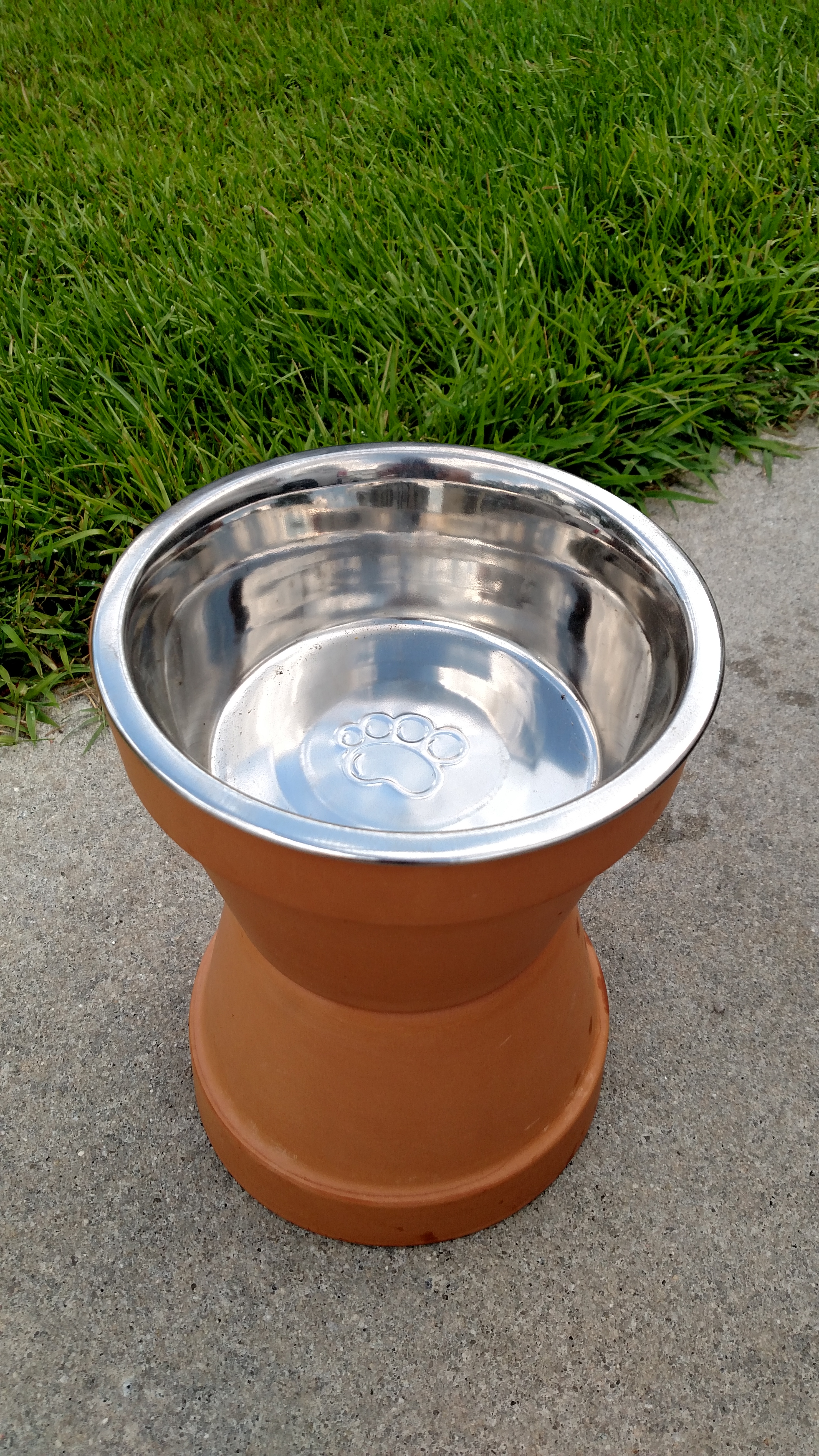 Raised Dog Food Bowls