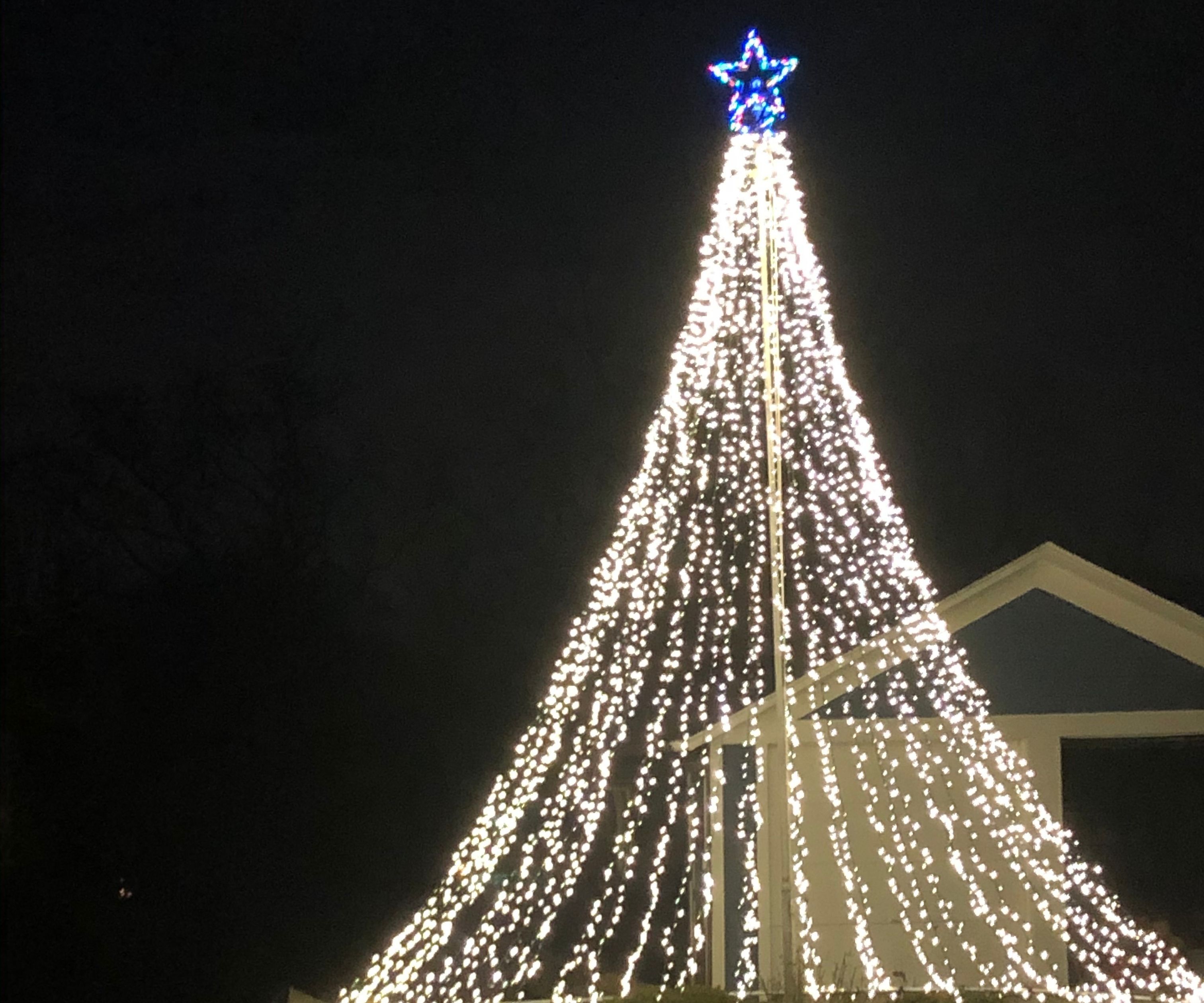 Flag Pole Mega Tree