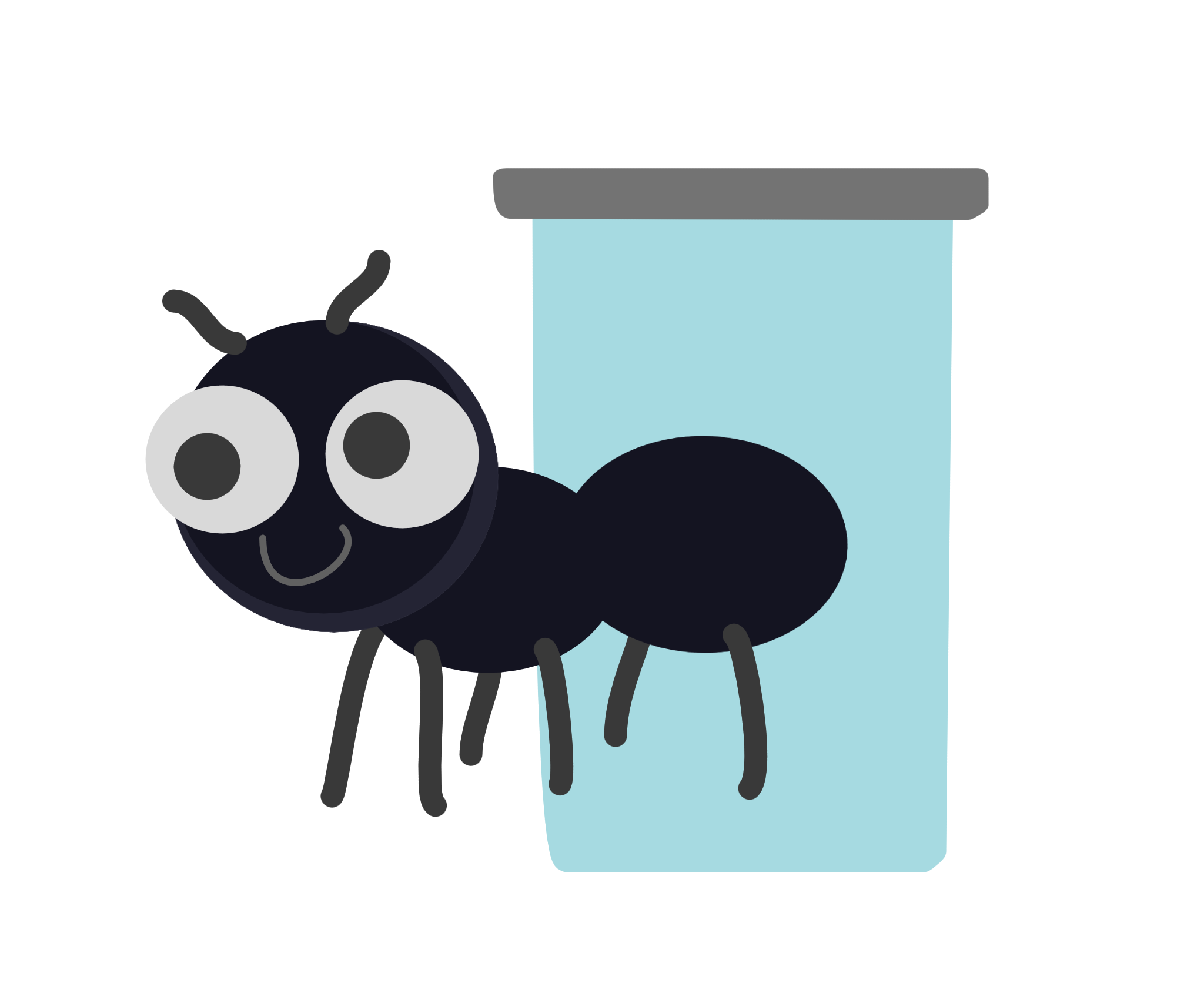 Ant Keeping Project 