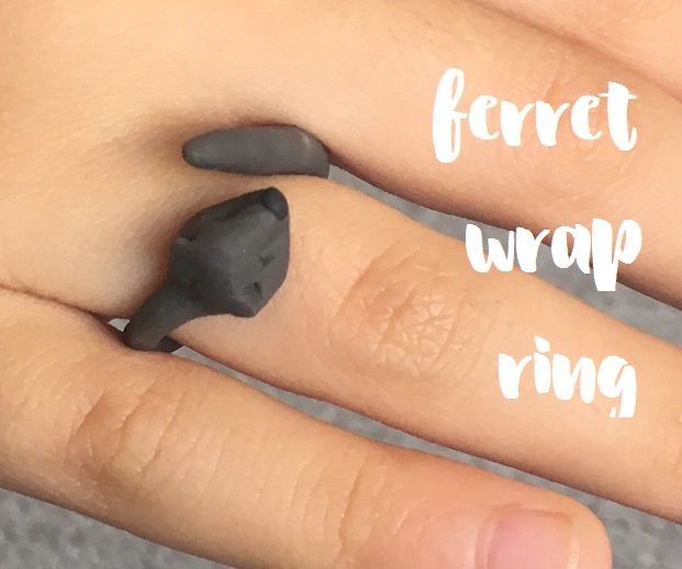 Ferret Wrapped Around Your Finger