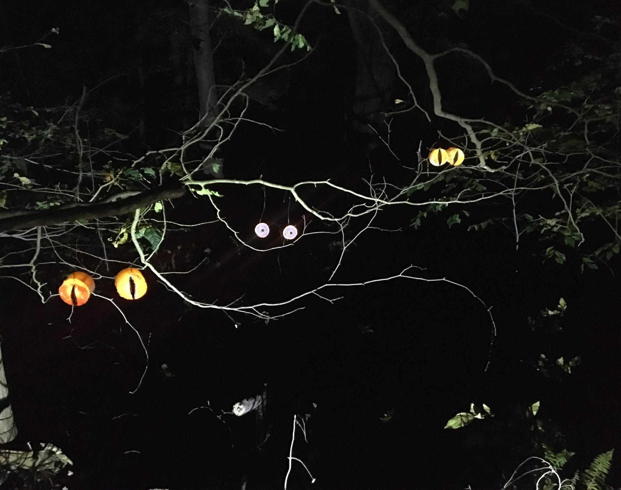 Spooky Light Up Eyes