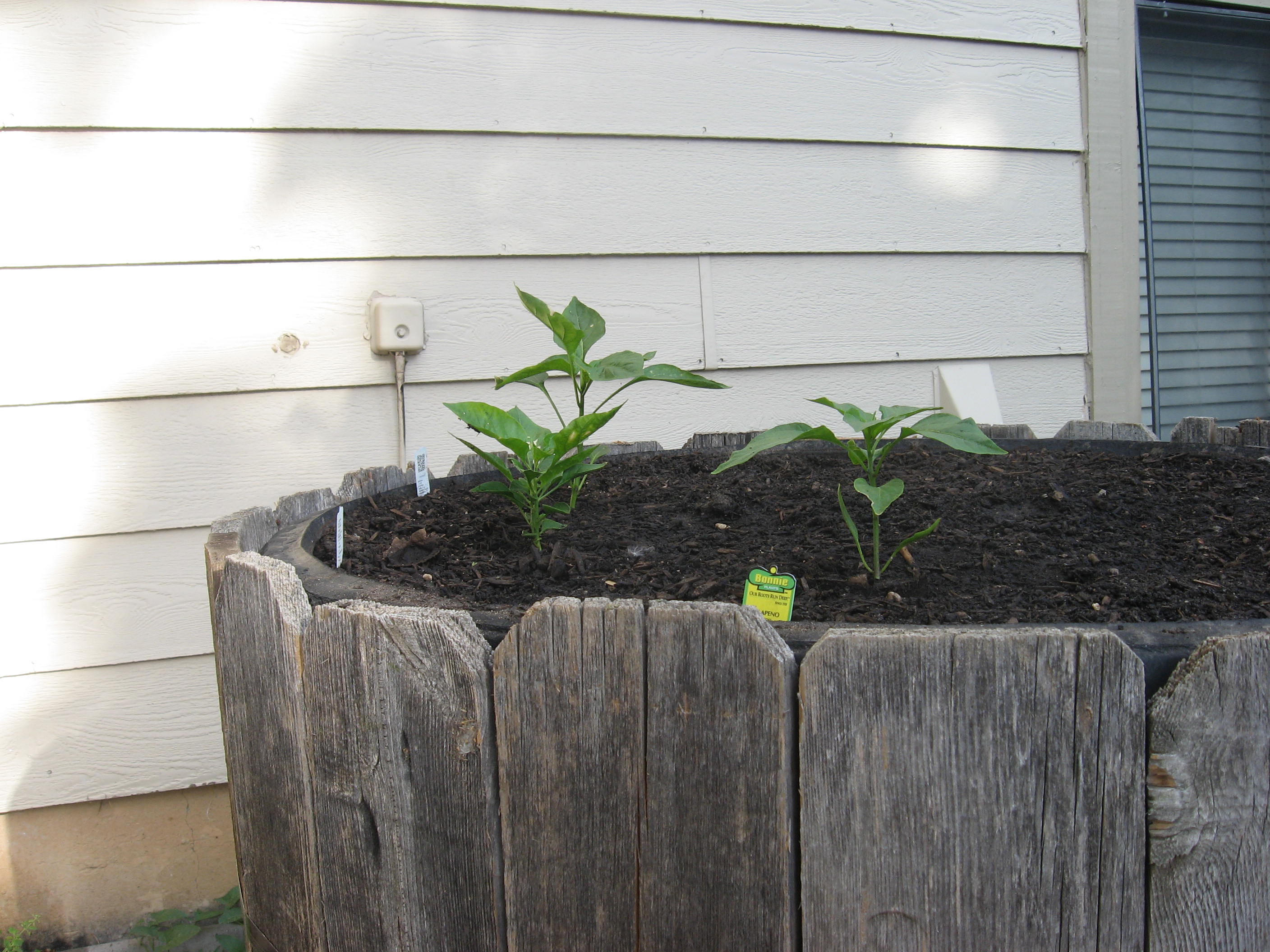 Build a Raised Bed Garden From Tires