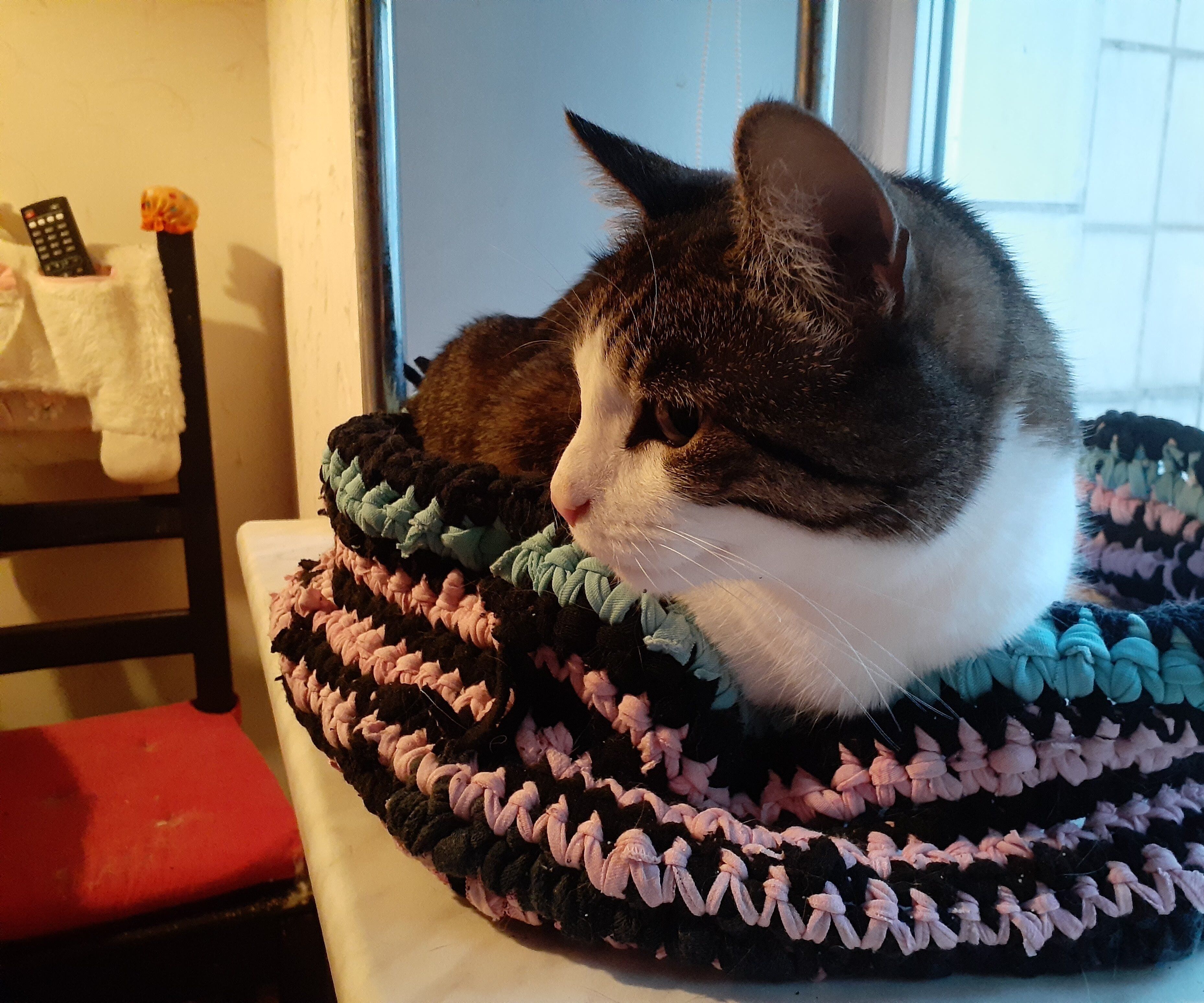 Cat Bed From Rags