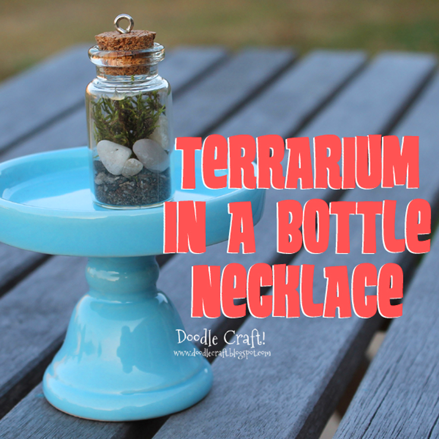 terrarium in a bottle sheet moss pebbles shells lucky charm plant necklace easy diy gift idea (1).JPG