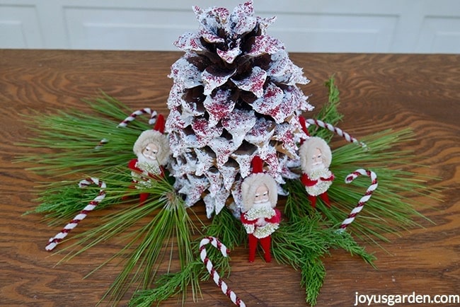 Large-coulter-pine-cone-is-painted-white-with-crystal-red-glitters.-Greens-candy-canes-santas-surround-the-cone_new.jpg