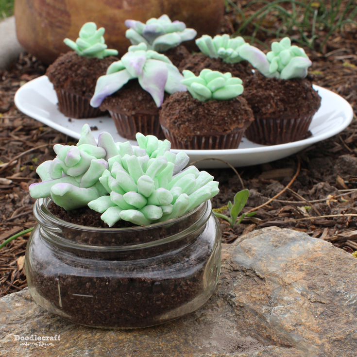 edible terrariums succulents marshmallow fondant cupcake dirt cups cake wedding decor mason jar dessert (3).JPG