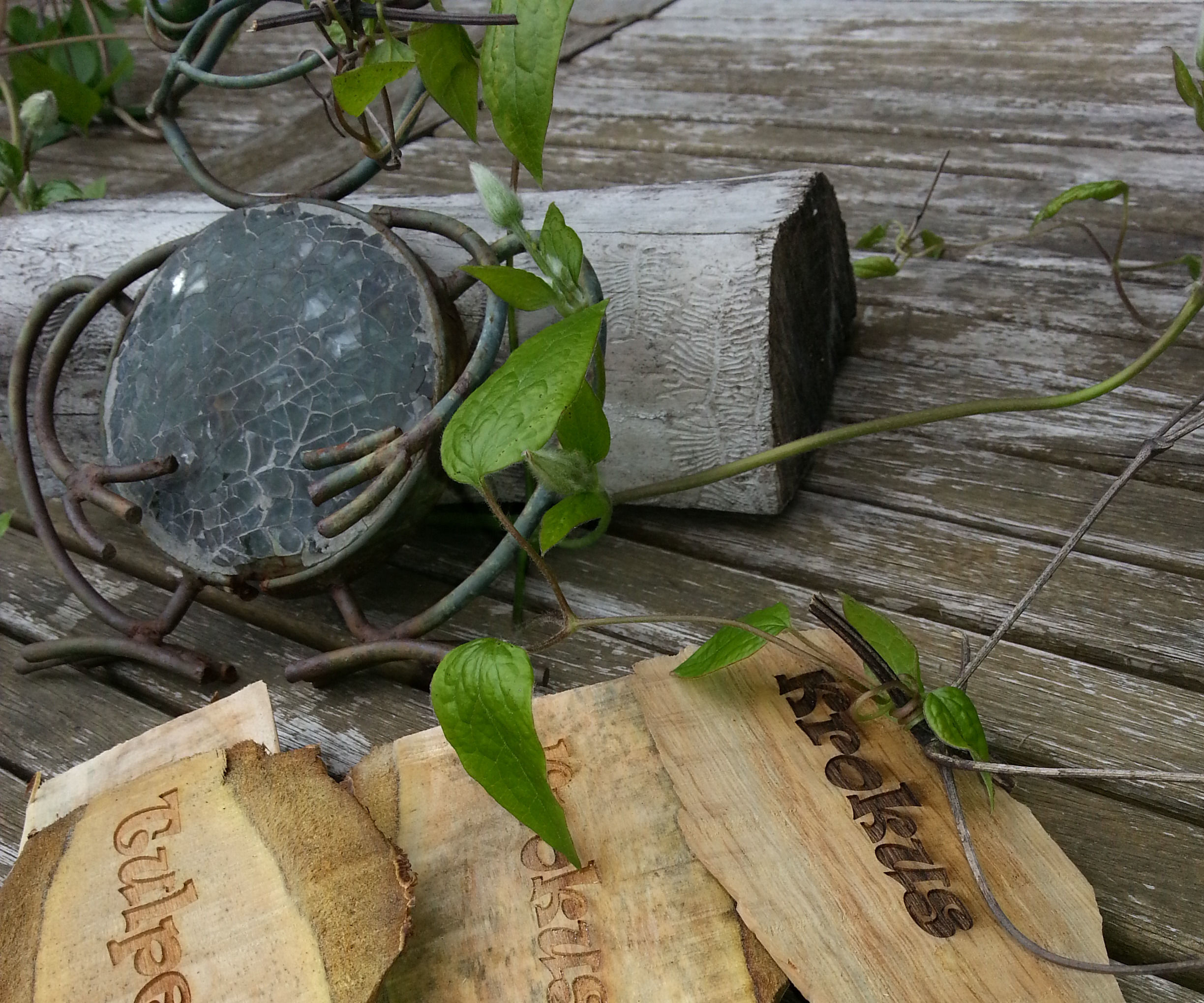 Big Plant Markers
