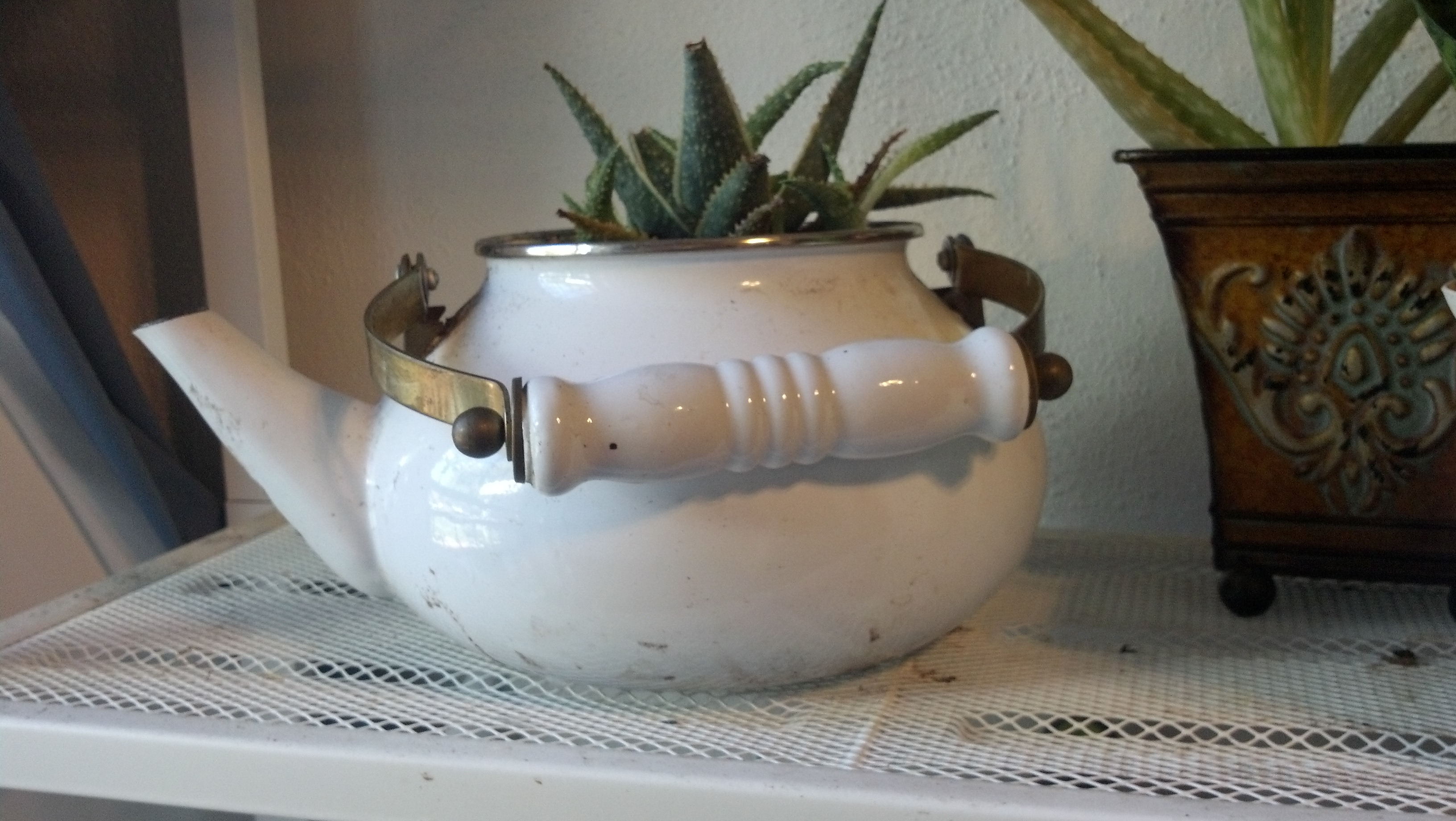 Upcycled Teapot Planters