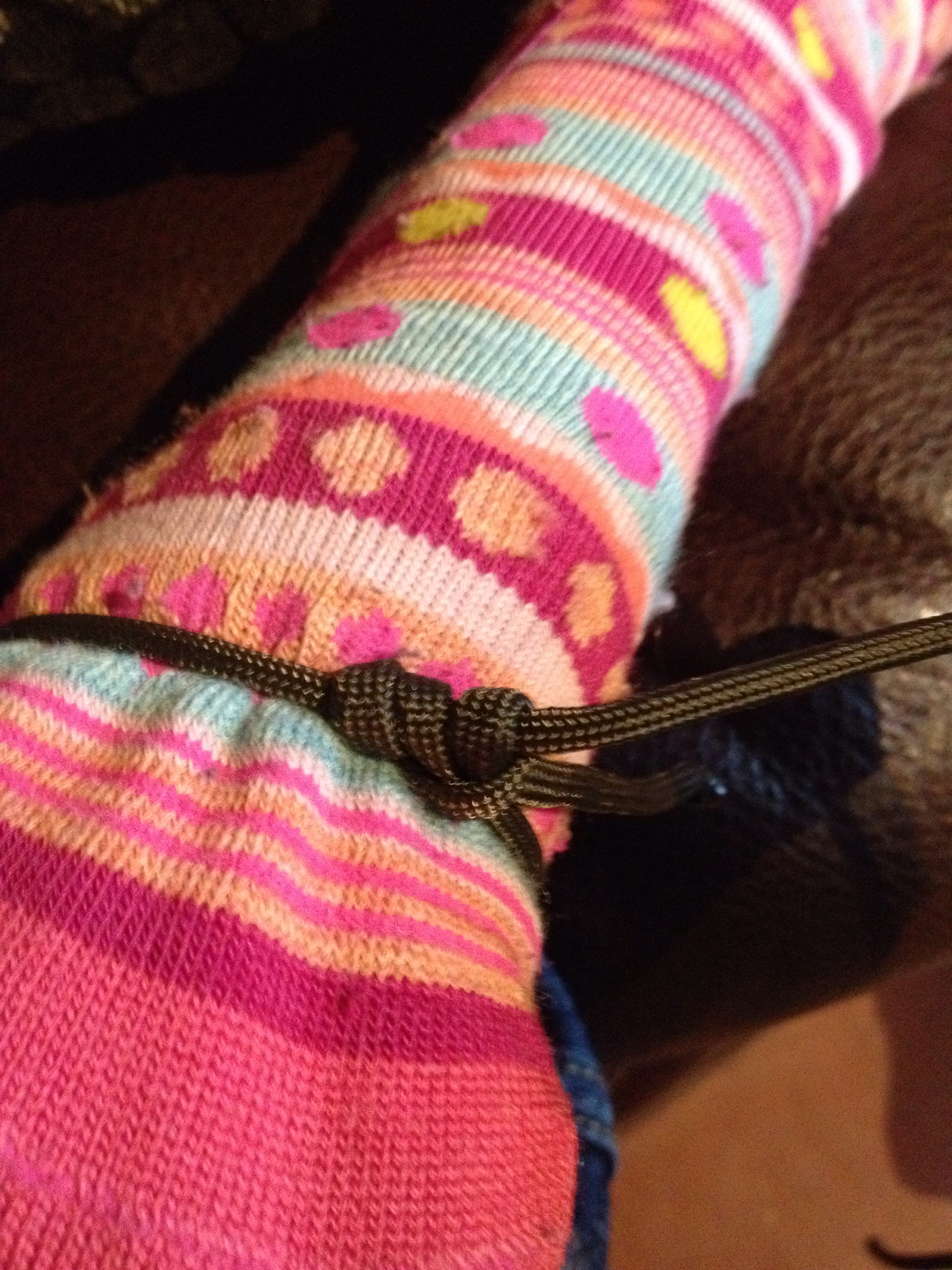 How To Tie A Tautline Hitch