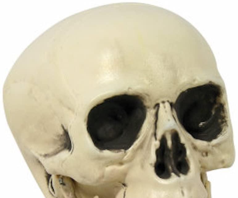 Halloween Skull