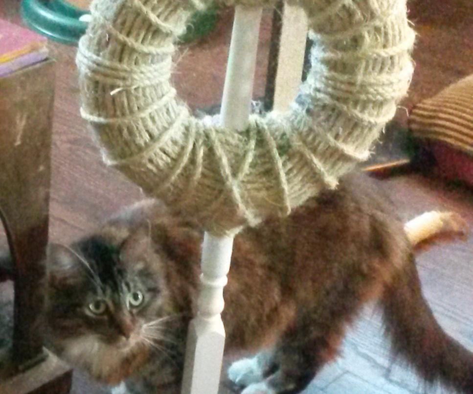 Cat Scratch Post