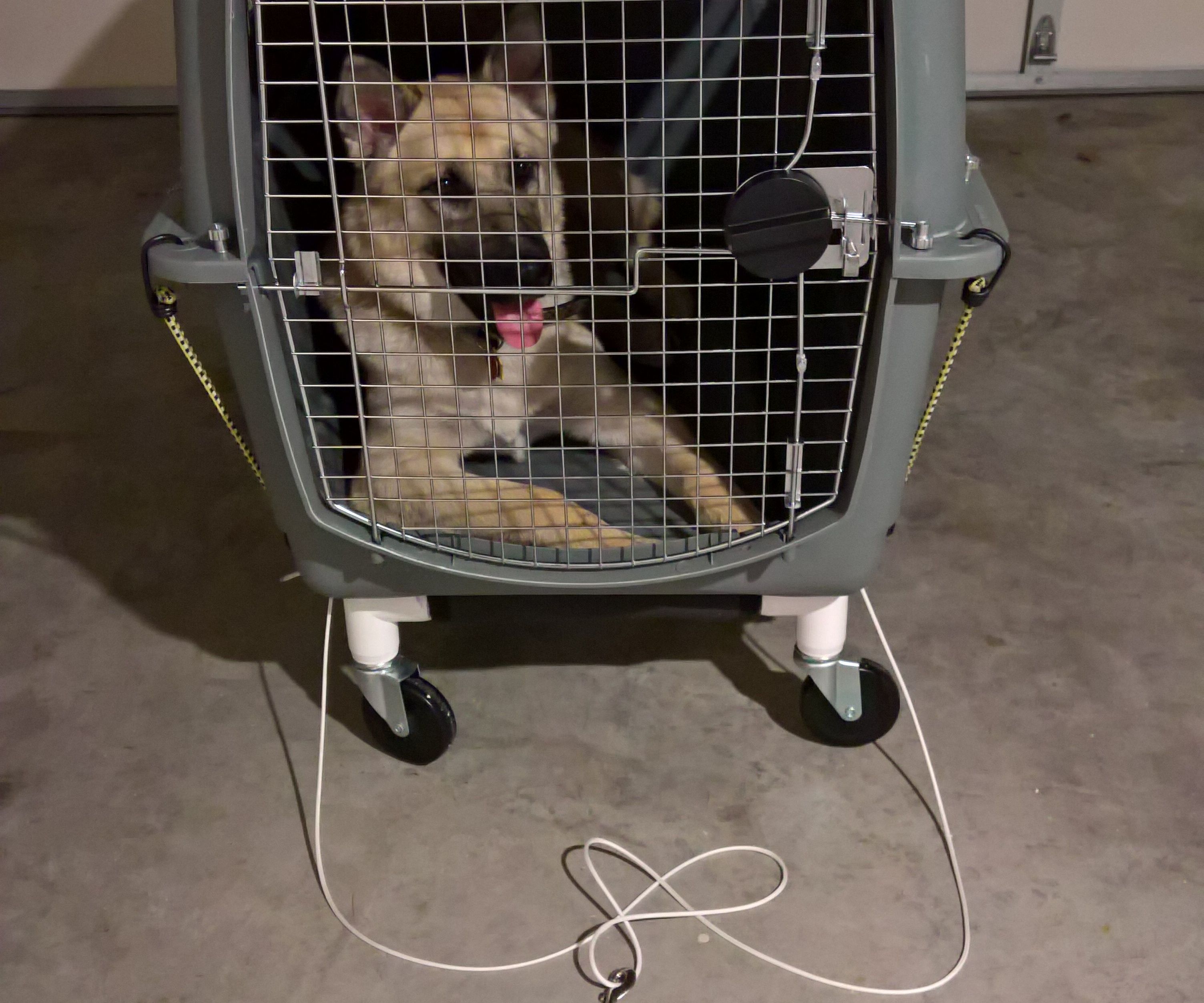 Pet Crate Dolly