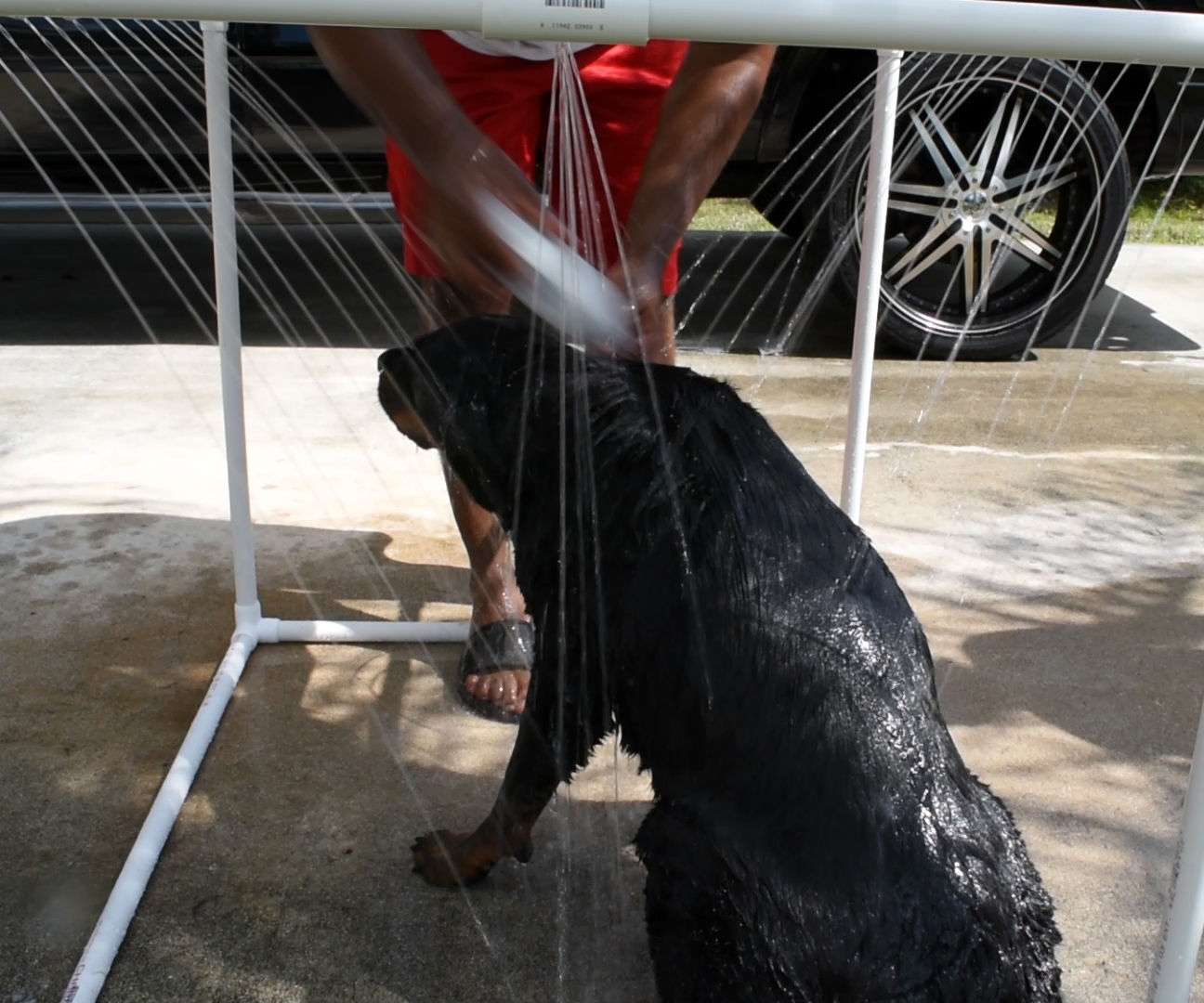 Outdoor Shower for Your Dog