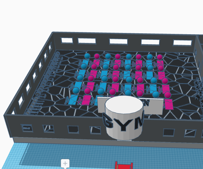 Develin's Gym