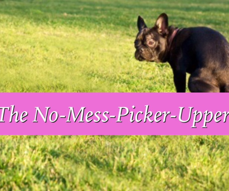 How to Build the Easy No-Mess-Picker-Upper 
