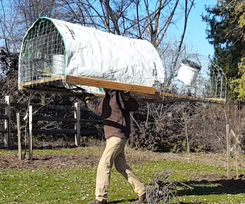 Free Chicken Tractor Coop: the Chicken Canoe