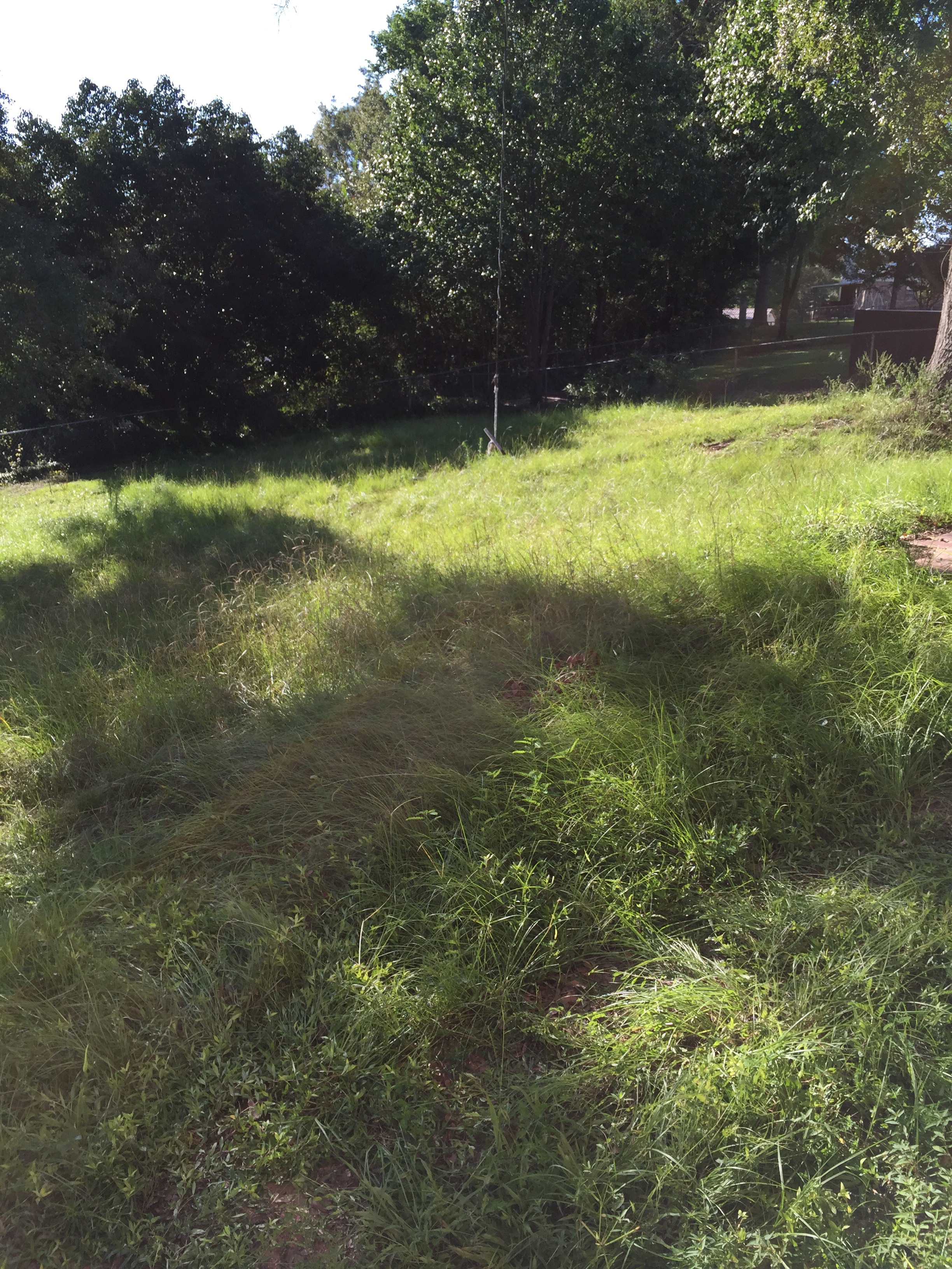 Southern Gnats / Mosquito Repellant