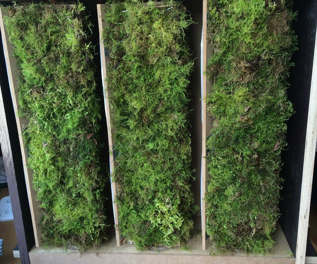 Arduino powered Moss&Solar Facade Element