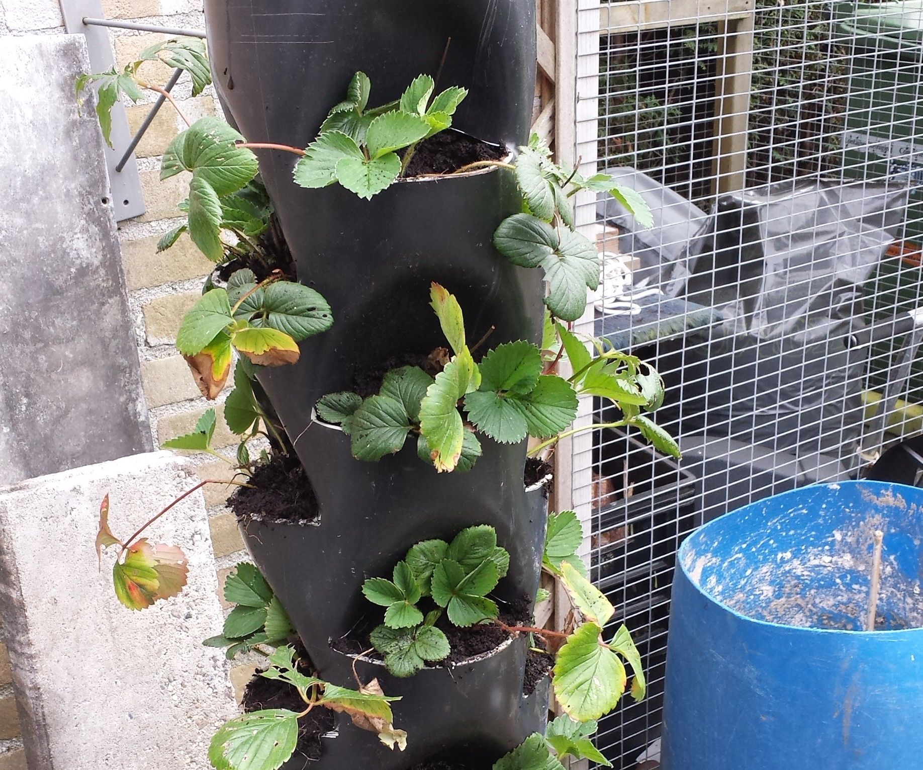 Plant Tower Made Out of PVC Pipe (15 Pockets)