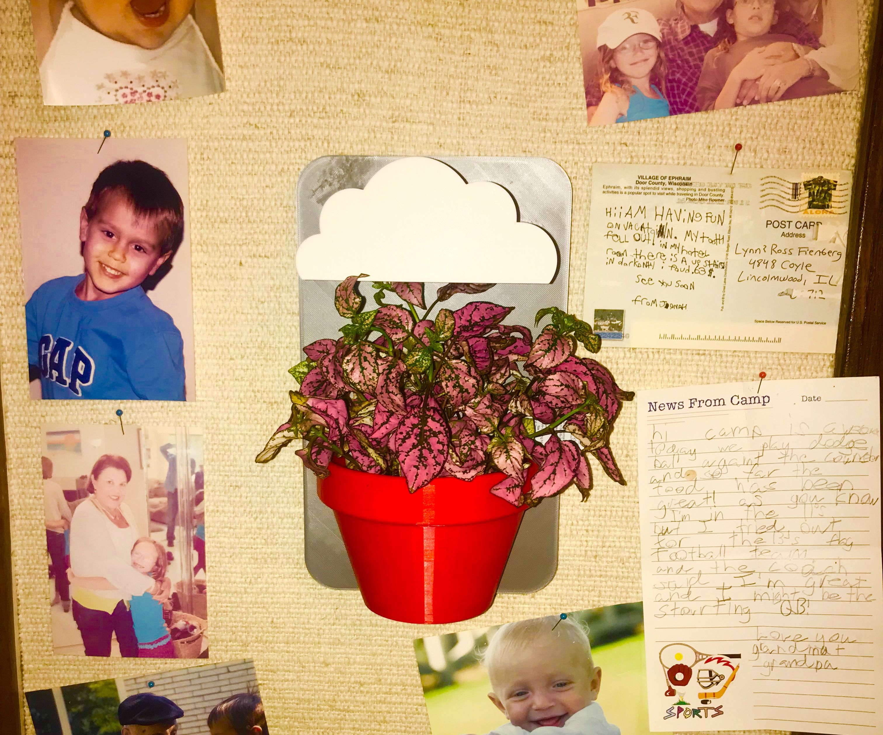 Wall-Mounted Planter (Red)