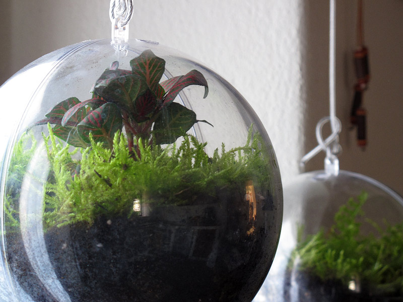 A Garden Inside a Ball - Christmas Time