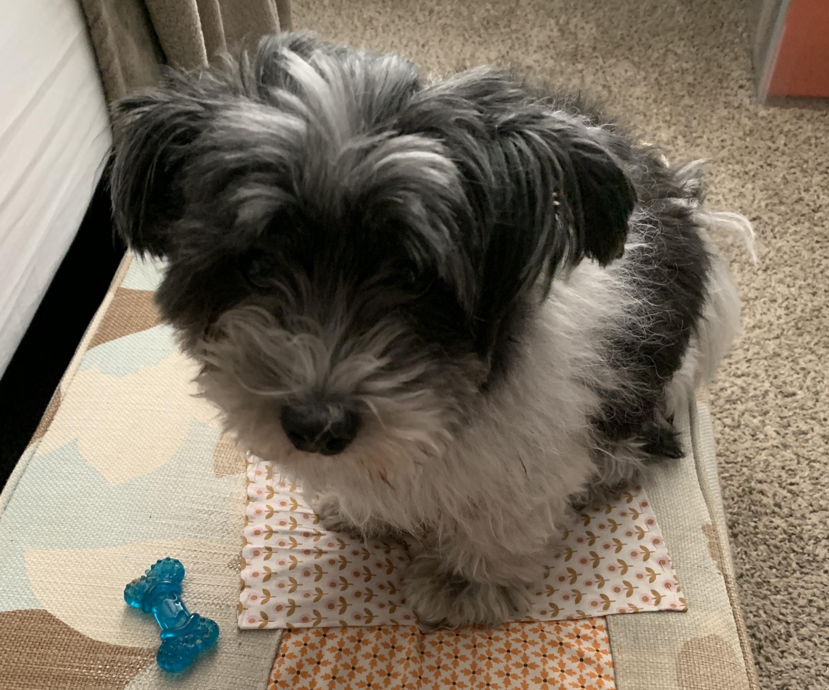 Repair Fabric Ottoman