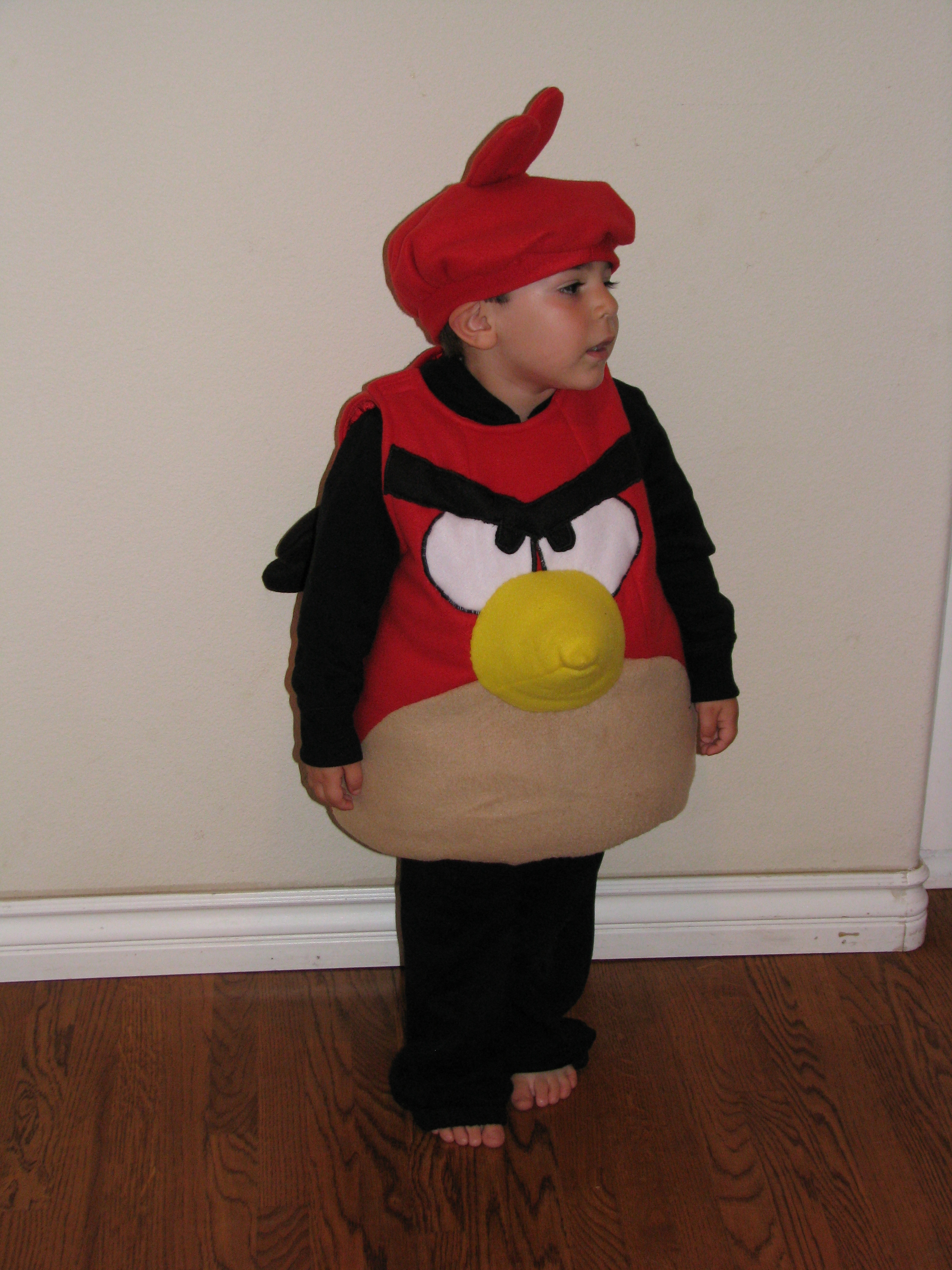 Angry Bird Costume