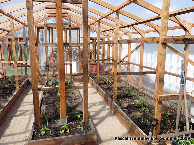 Greenhouse - Guide to Build a Wood Greenhouse at Home-