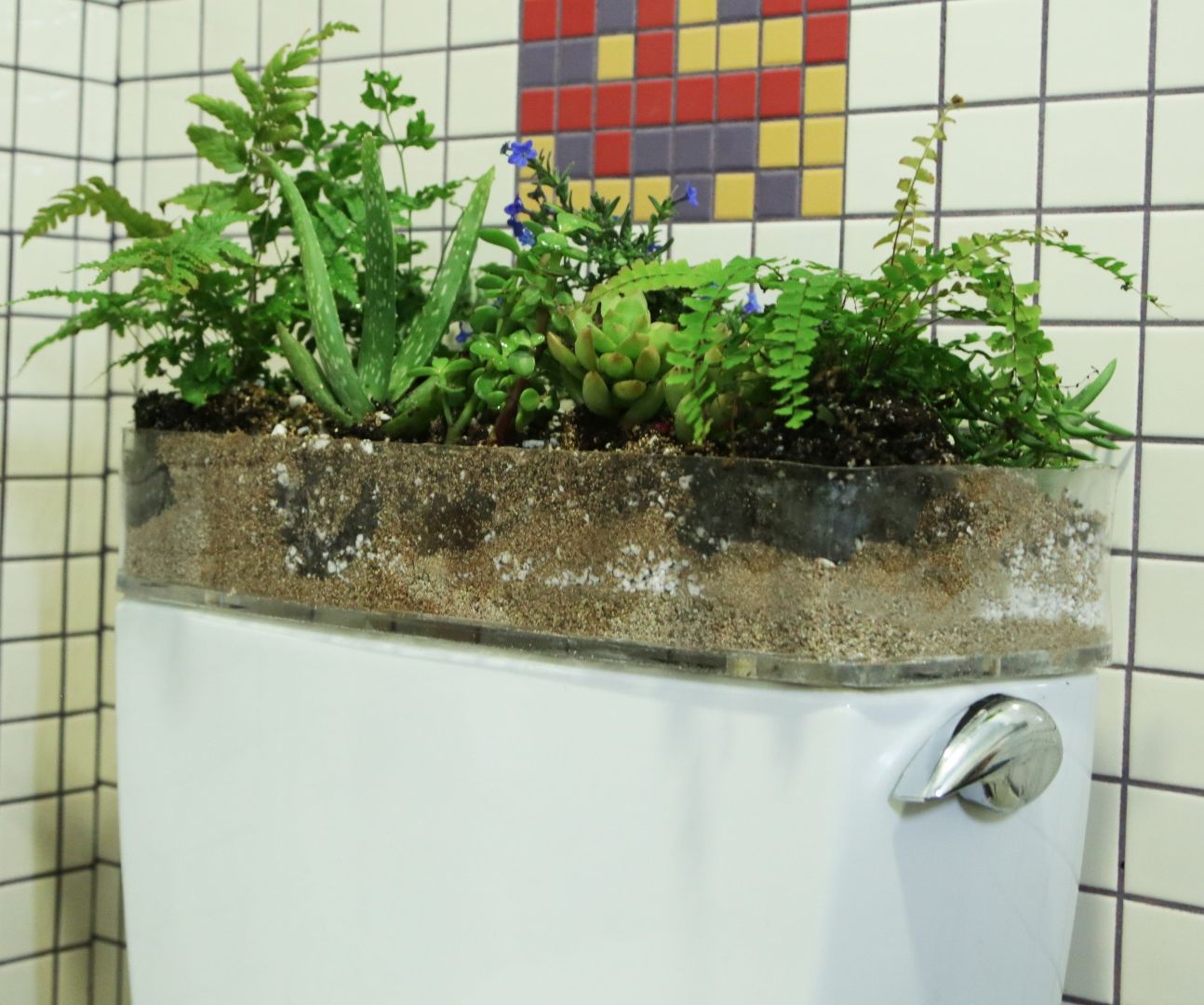 Toilet Garden