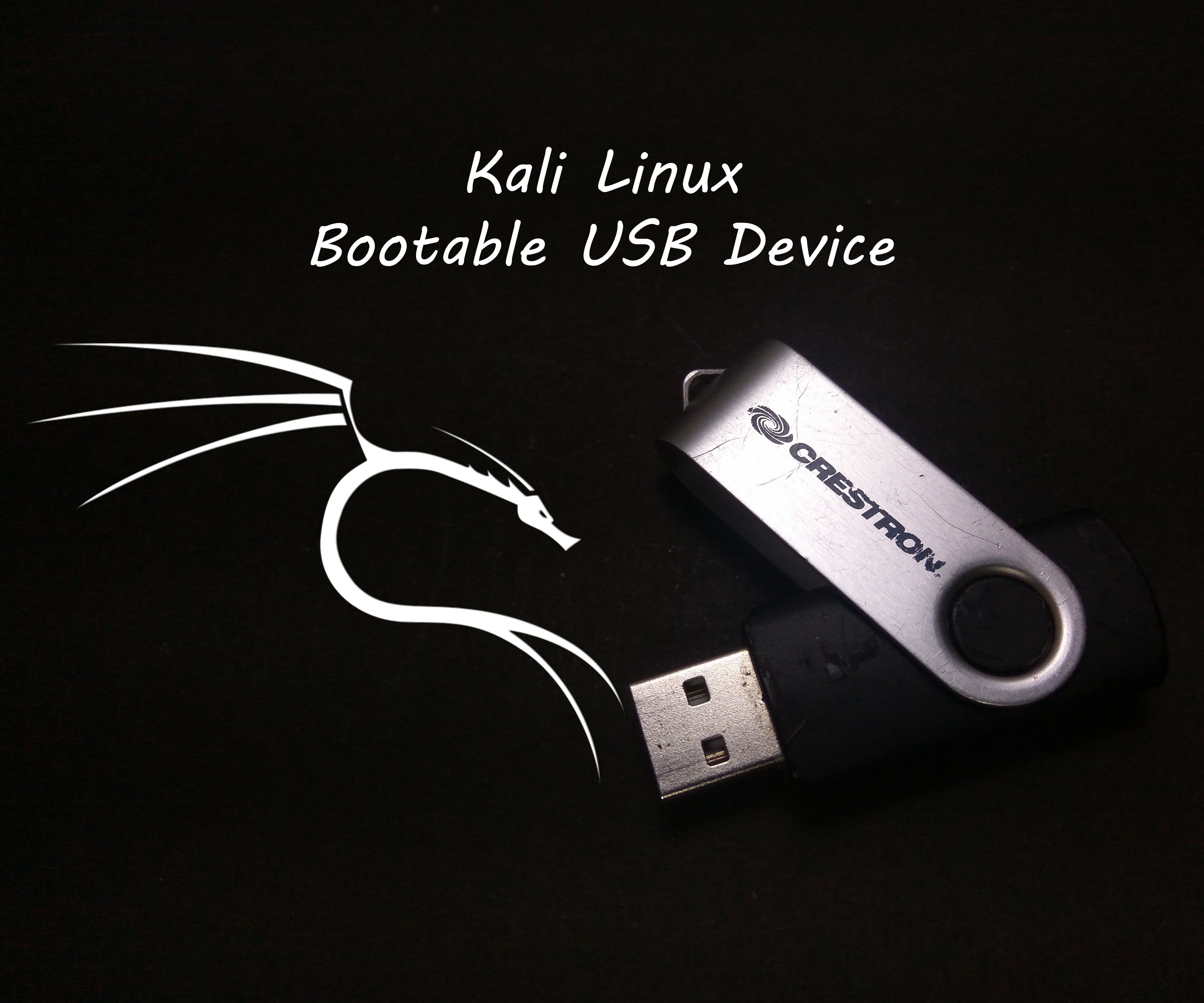 DIY Kali Linux Bootable USB Drive