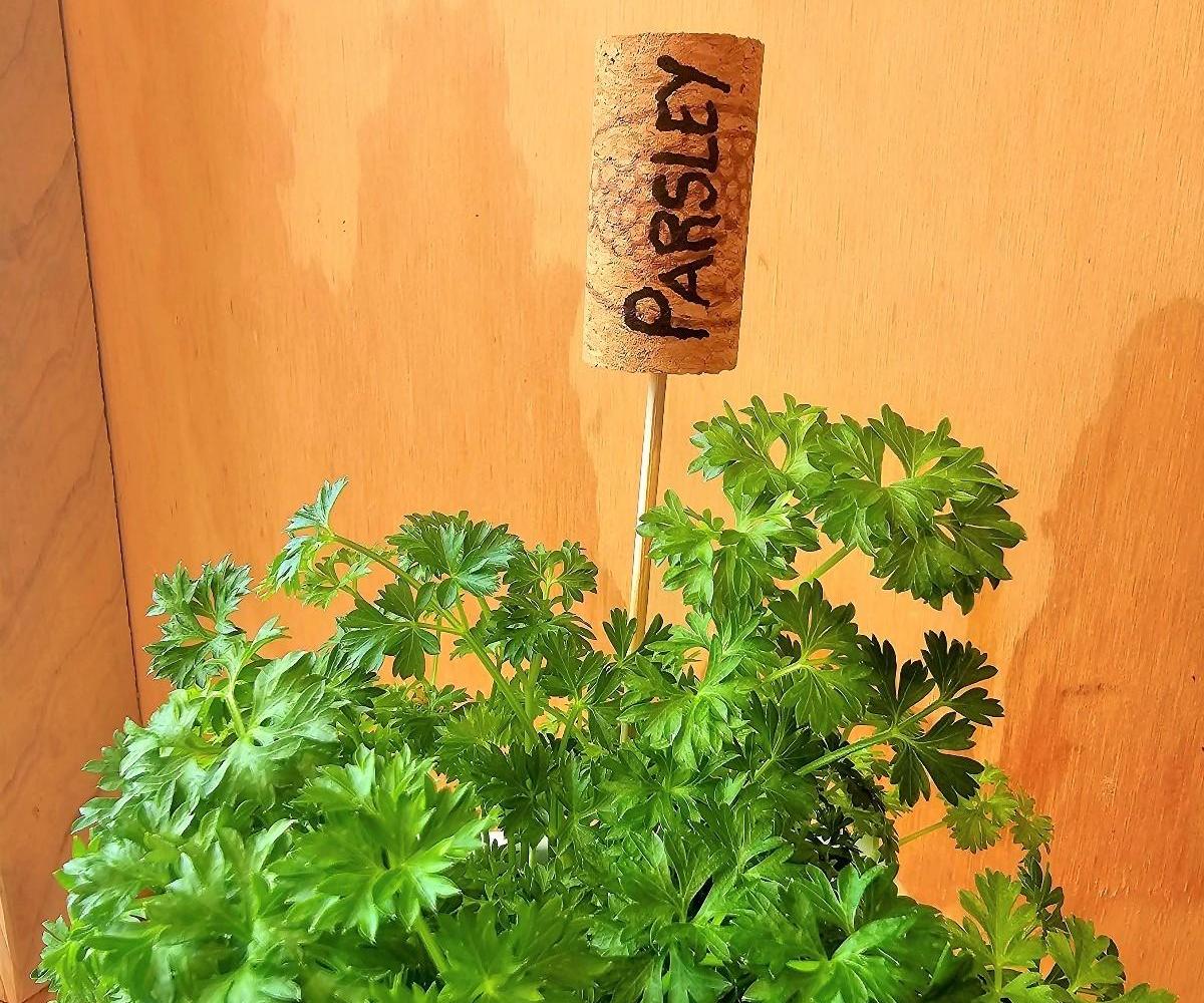 Cork Plant Labels
