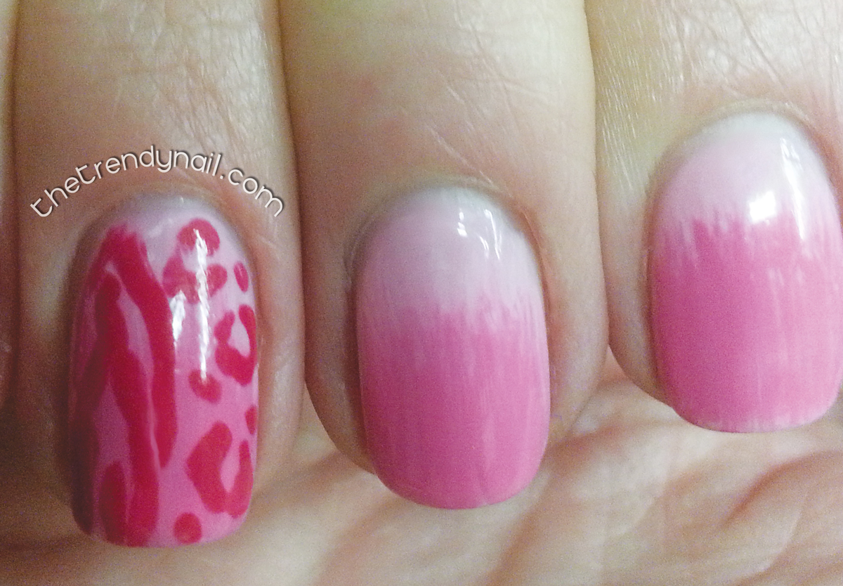 Animal Print / Ombre Nails