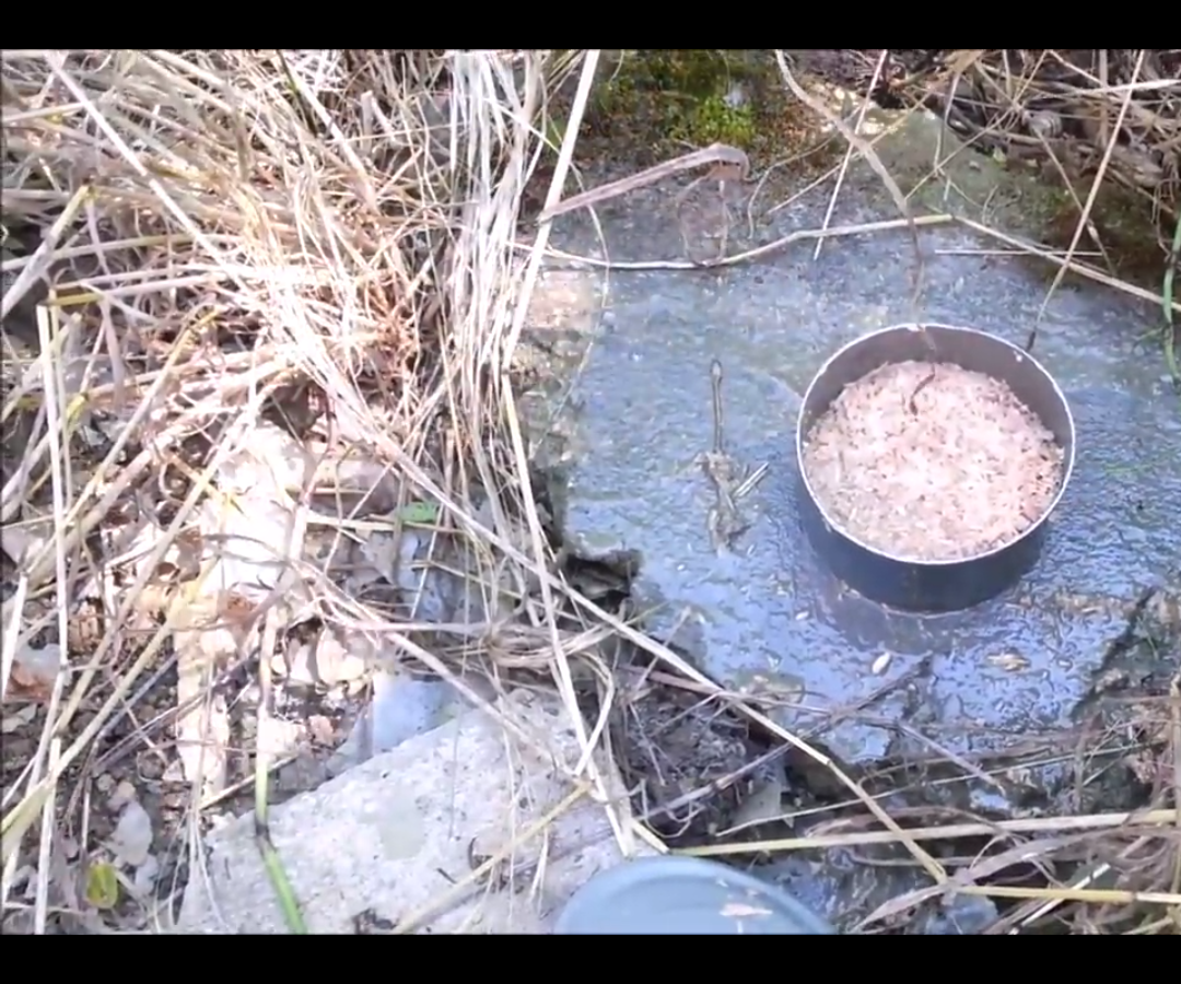 How to open food cans without a can opener