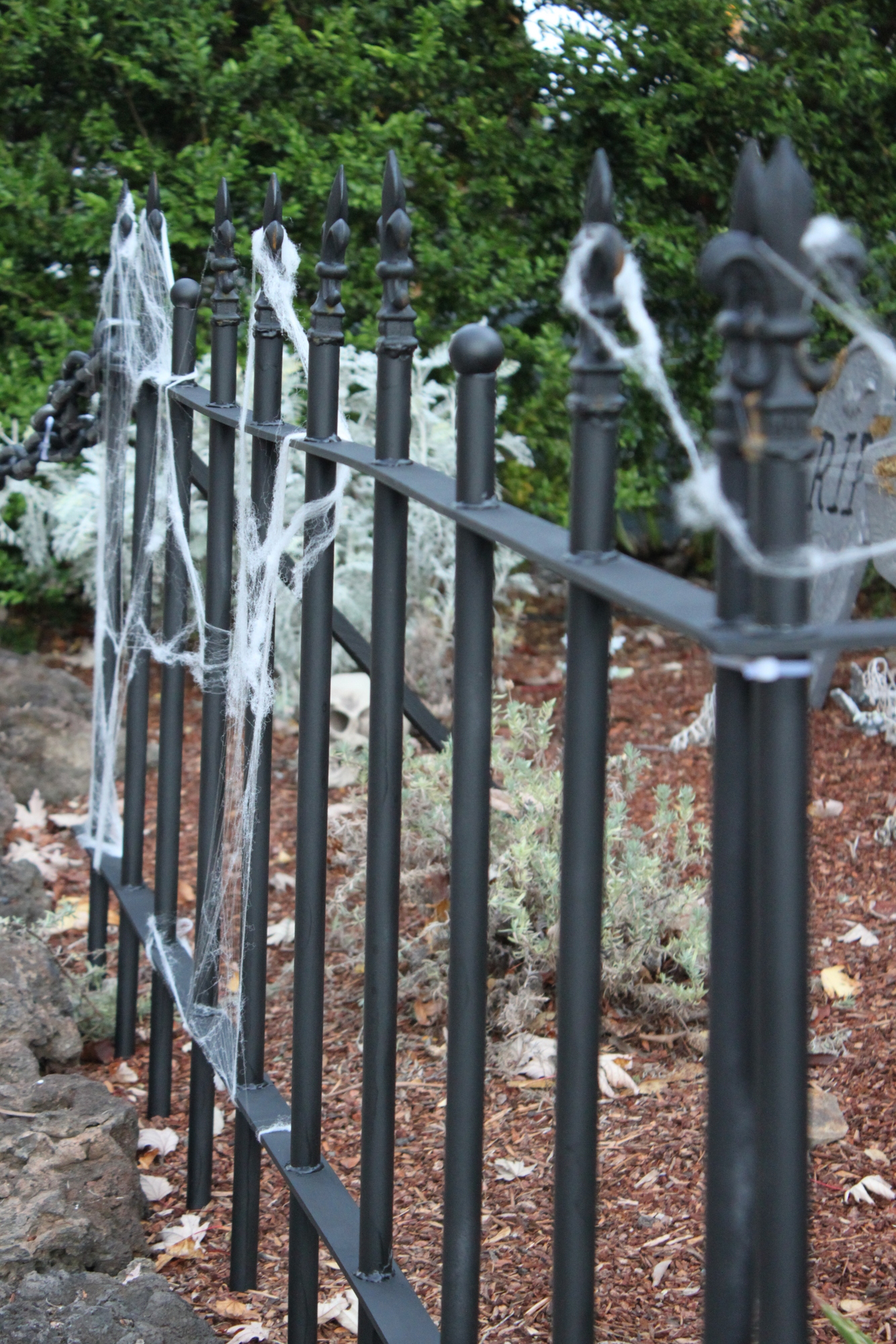 Cemetery Fence