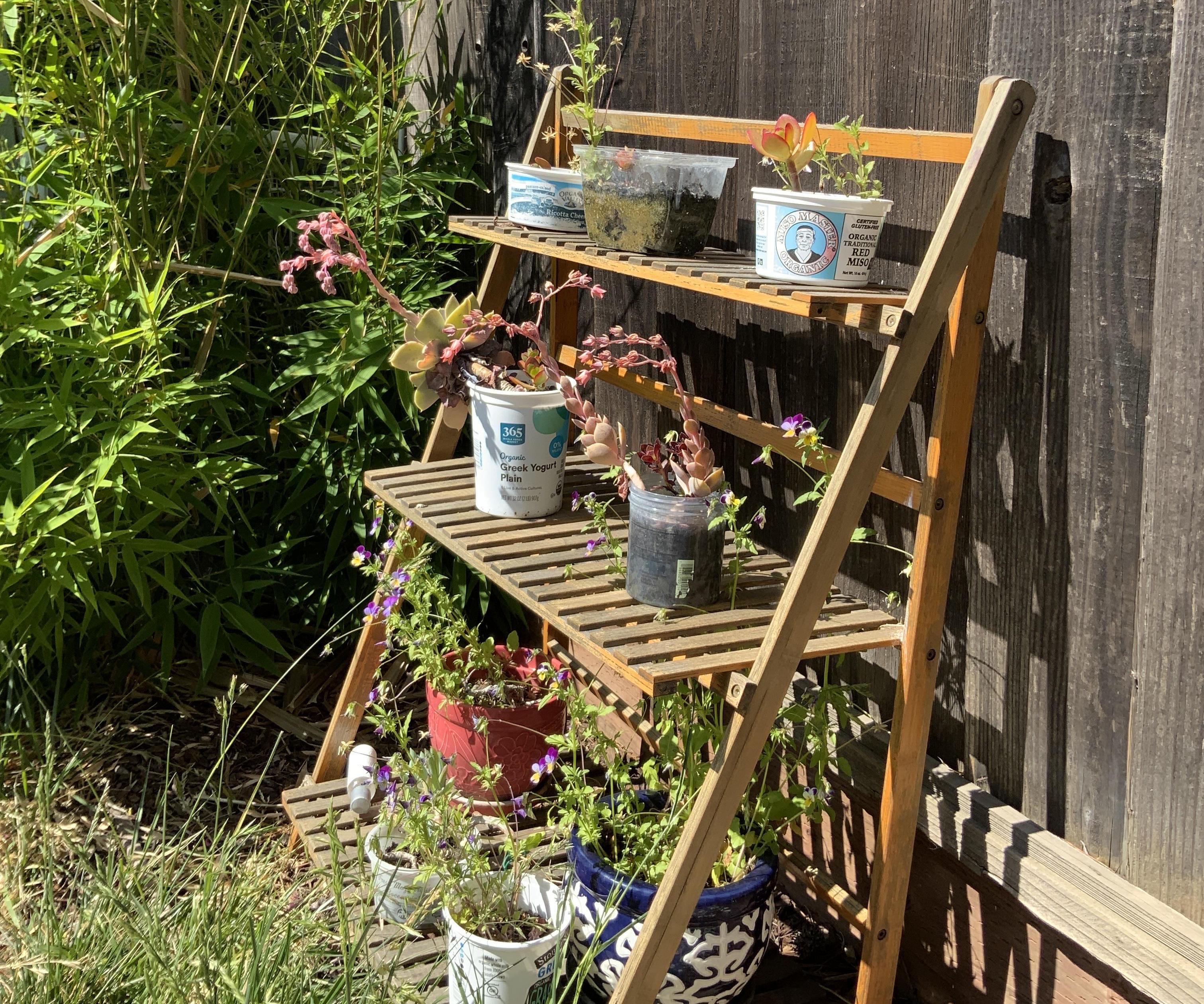 Reused Pots From Old Containers!