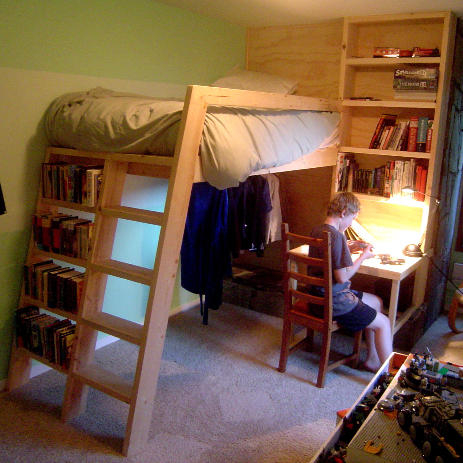 Loft Beds With Bookshelf Ladders