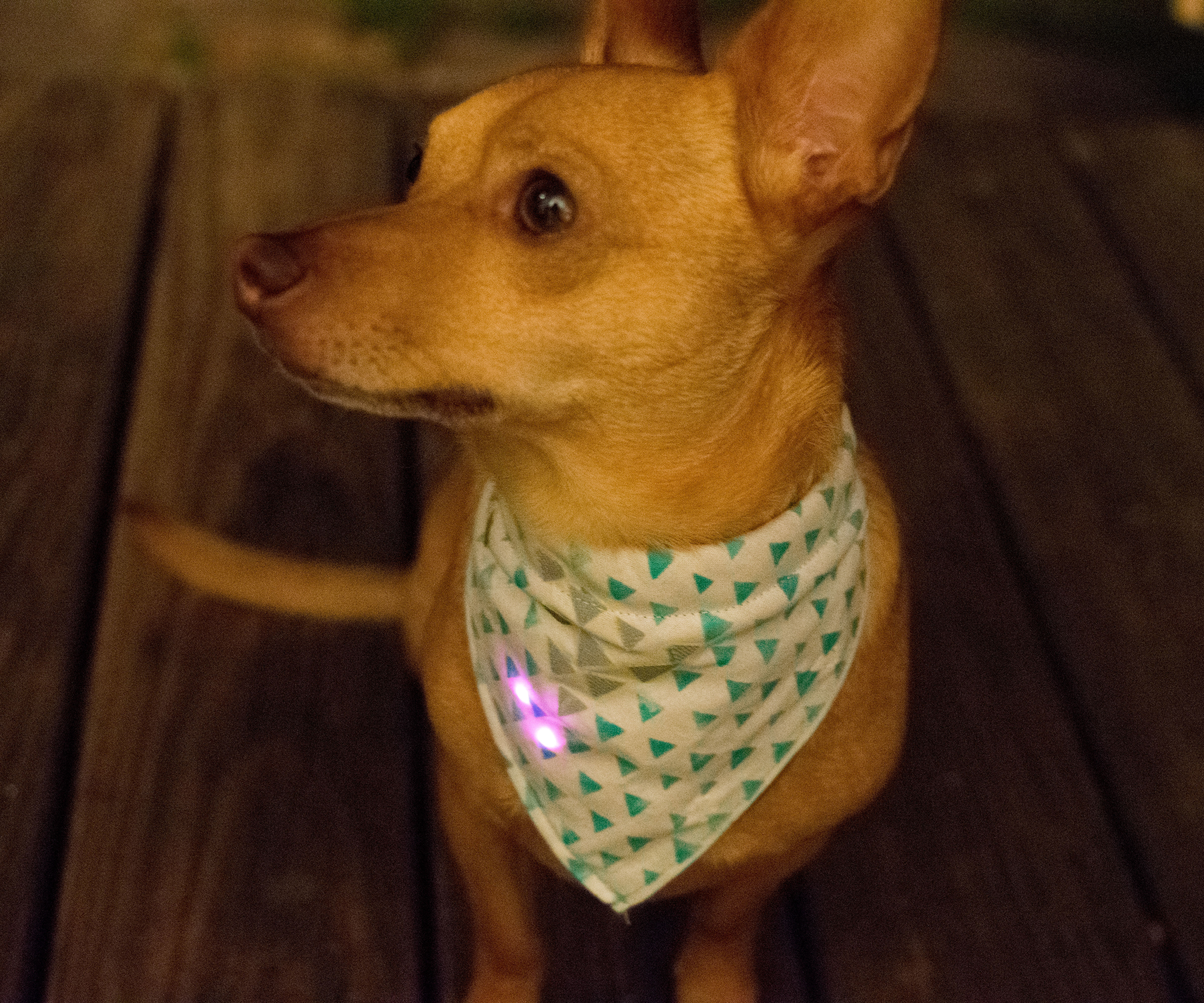 How to Make a Reflective Light Up Bandana