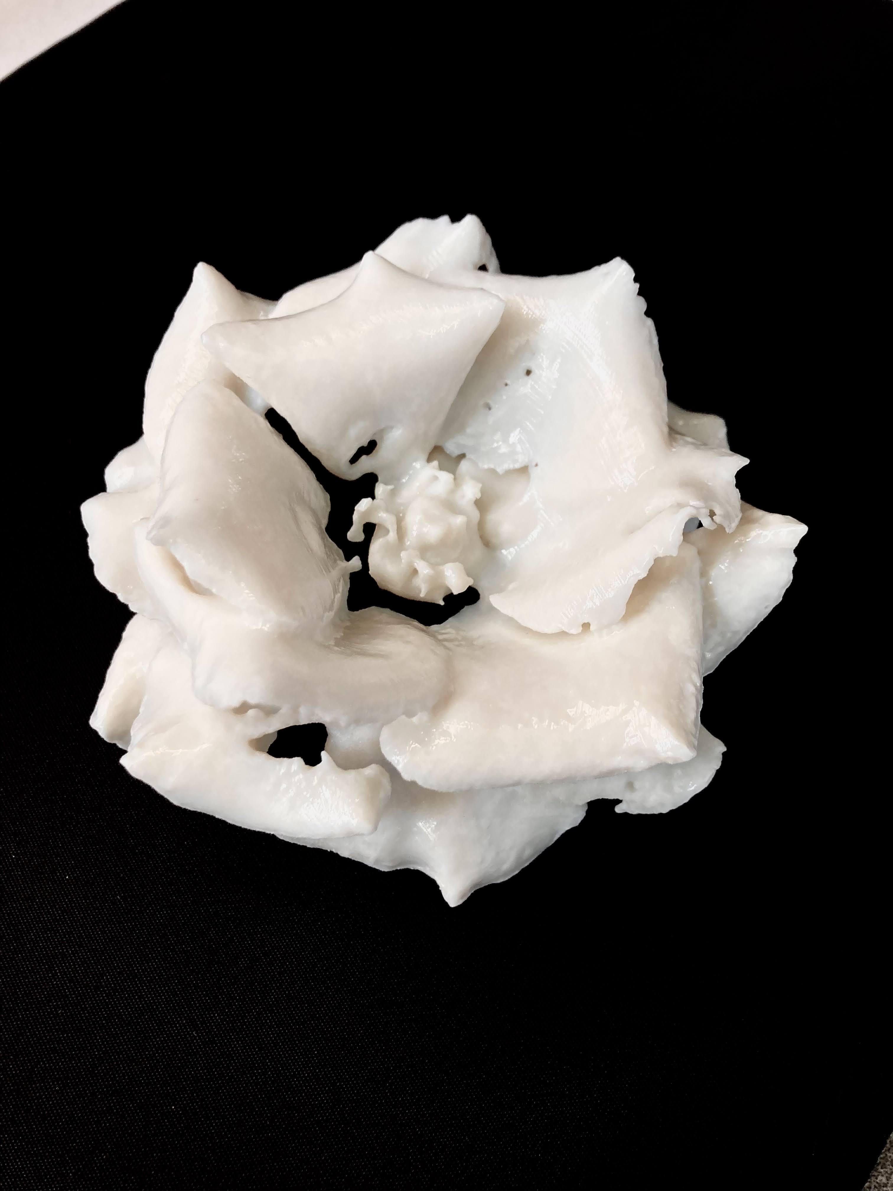 Flower Photogrammetry
