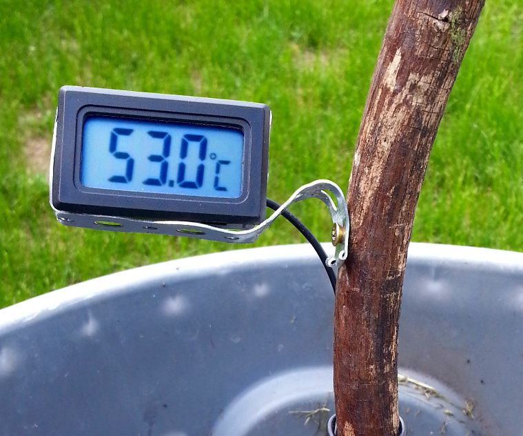 $2 DIY Compost Thermometer Build