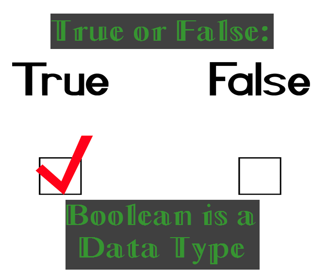 True or False: Boolean Is a Data Type