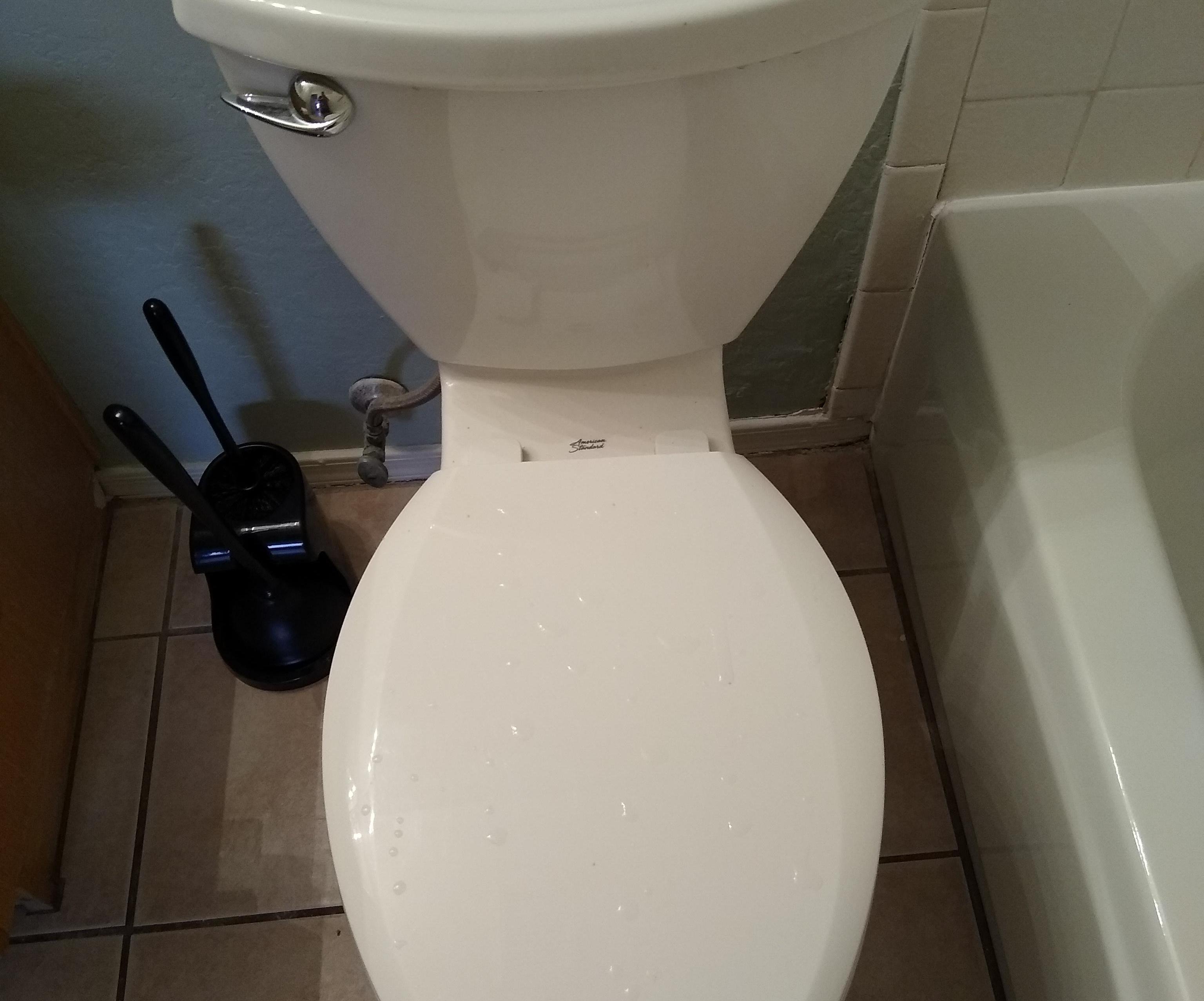 Toilet/Knife Sharpening 