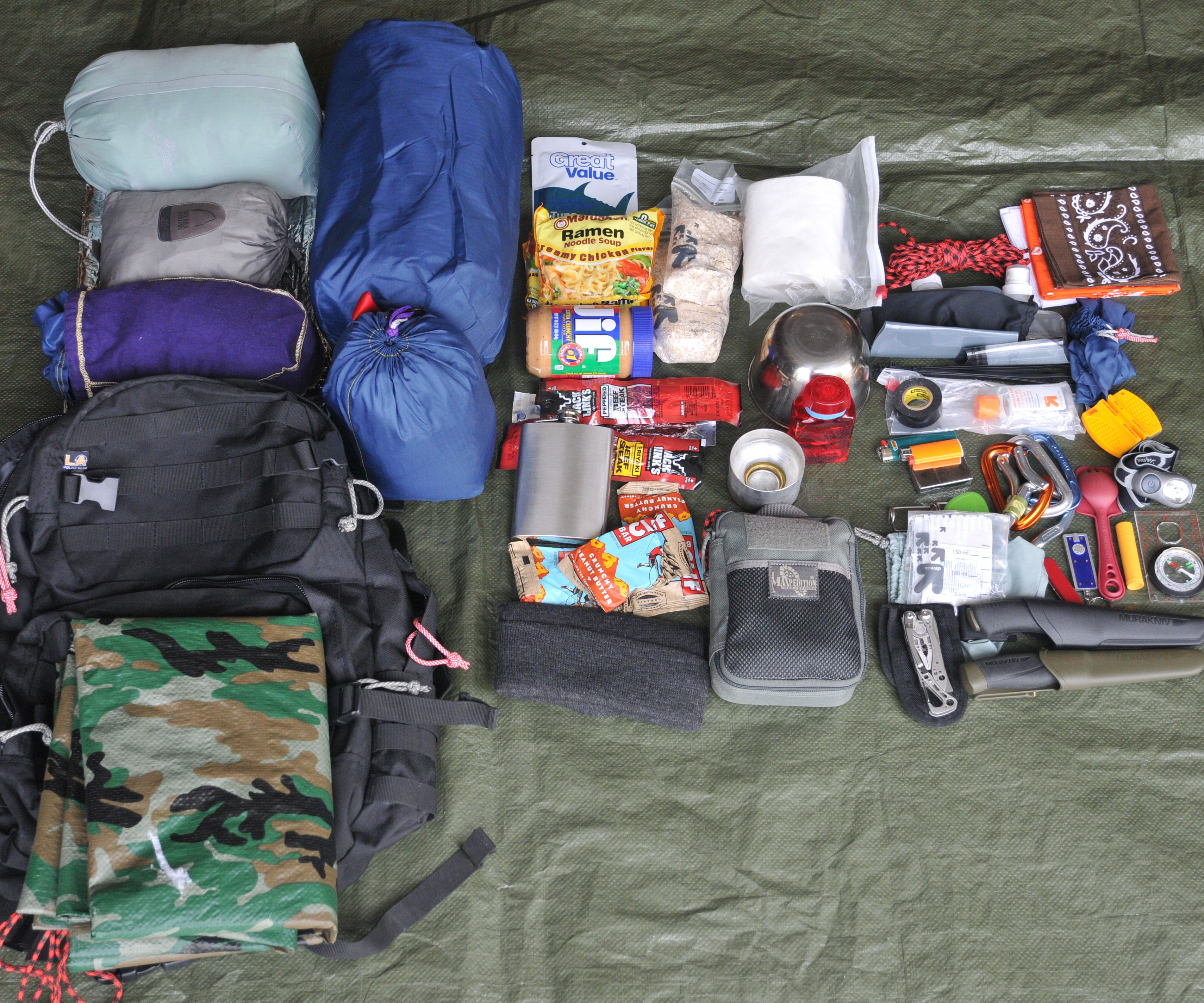Survival Bag