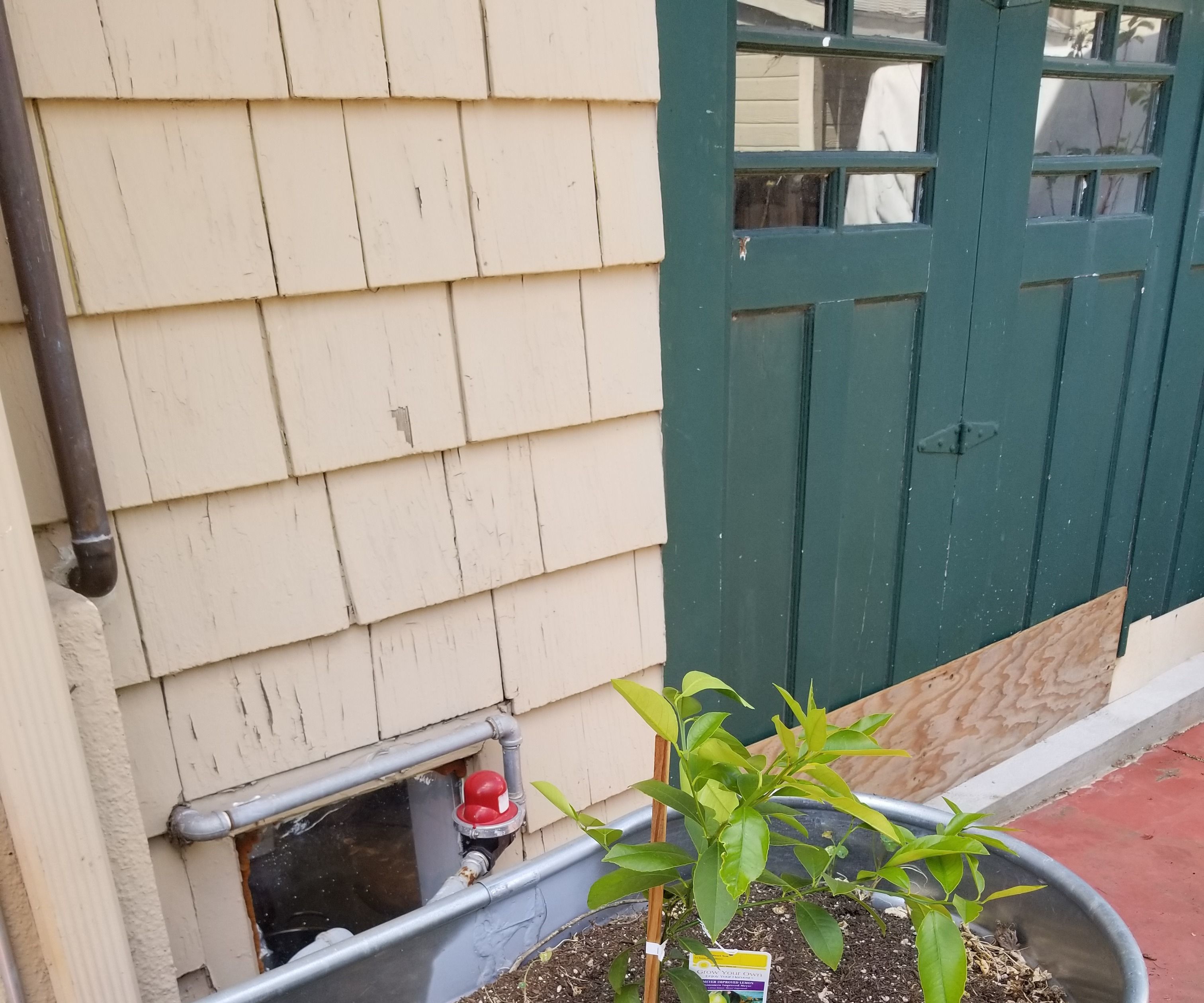Self Watering Outdoor Plant Pot