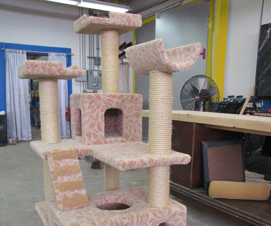CAT CONDO
