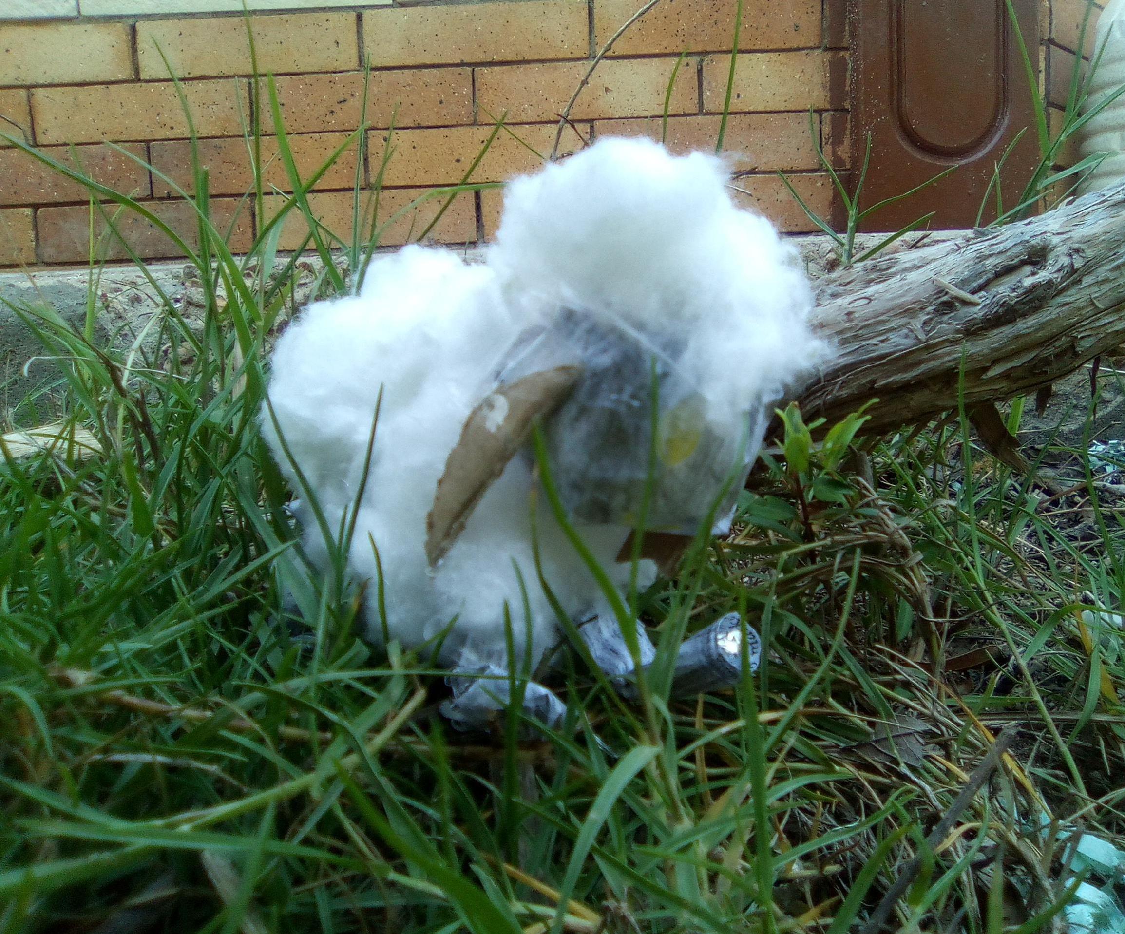 Eid Sheep