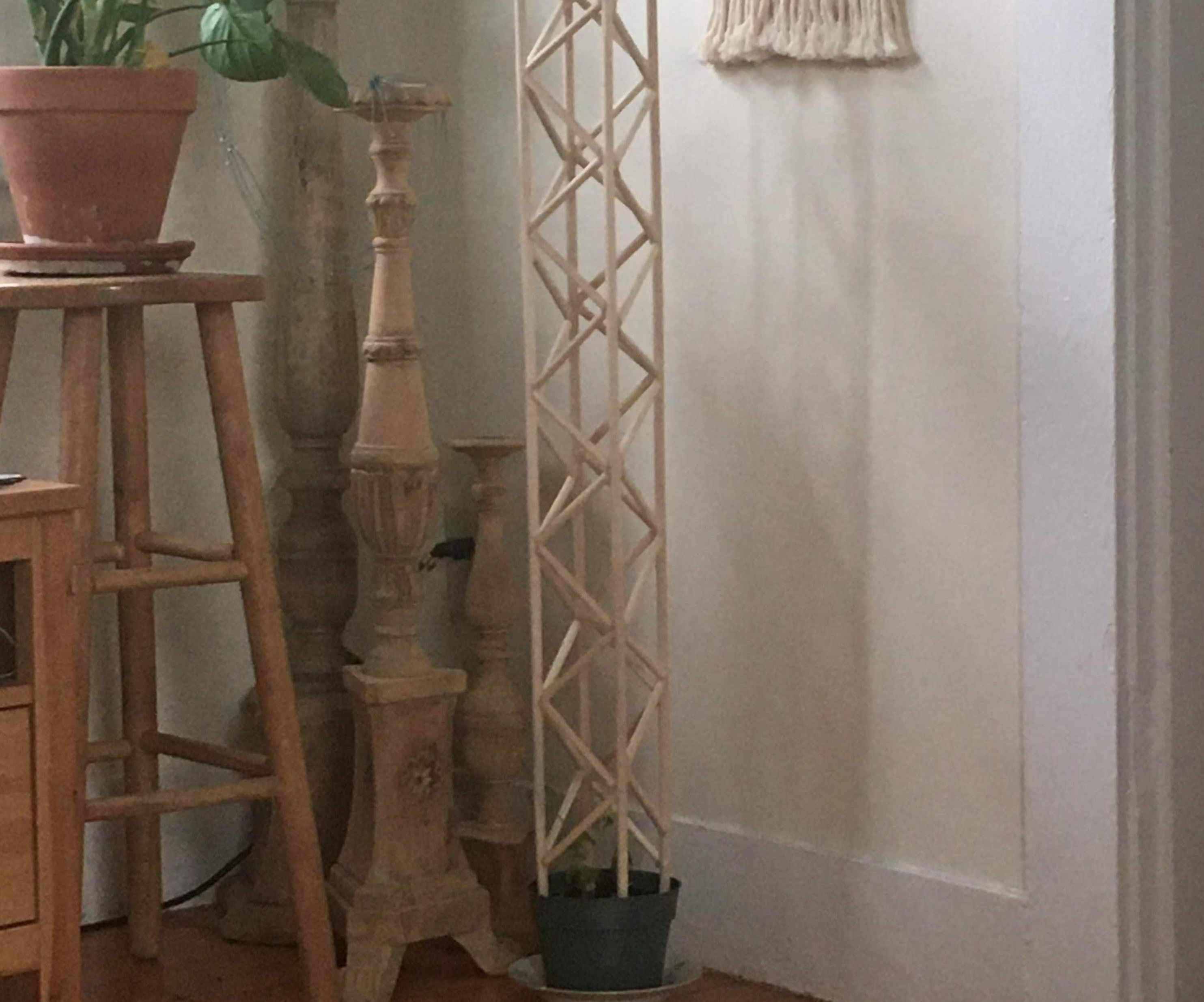 Indoor Hops Trellis