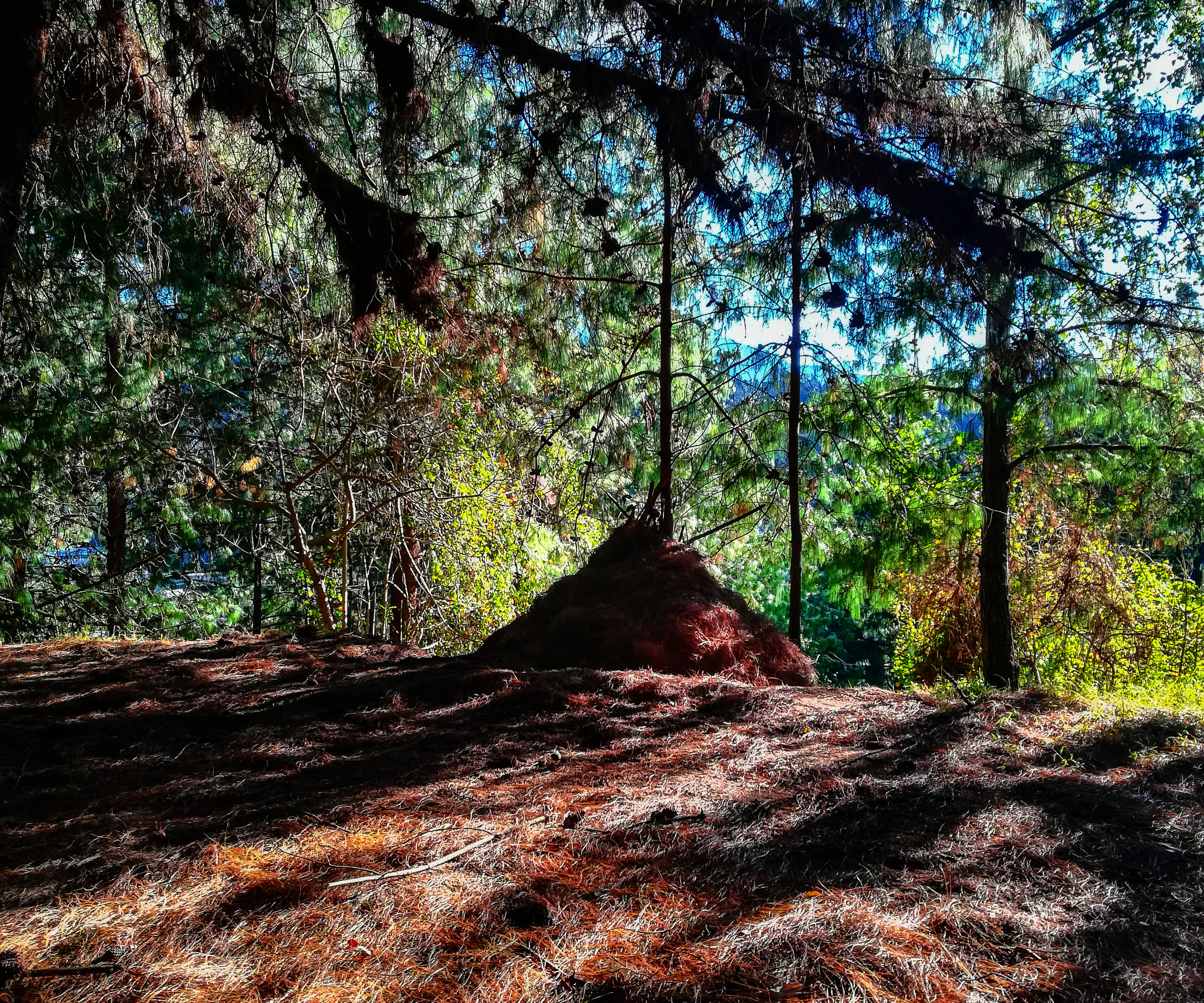 Very Simple Refuge