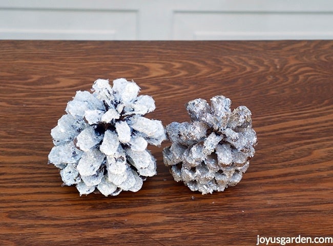 2-pine-cones-sit-next-to-each-other.-1-is-painted-white-the-other-is-bleached.-Both-have-crystal-glitter-on-them_new.jpg