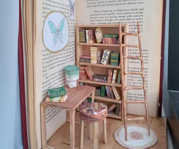 Miniature Library in a Book